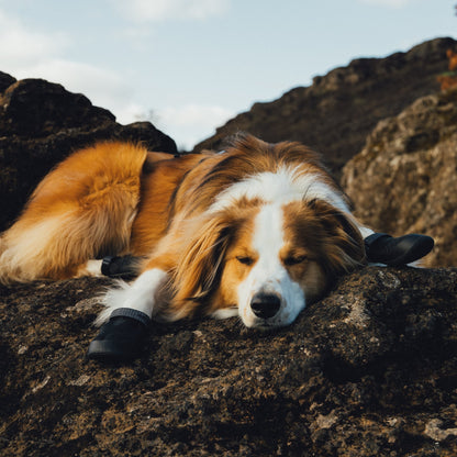Ruffwear Ridgeline Hundeschuhe – Robuster Pfotenschutz für anspruchsvolle Trails und raues Gelände - Woofshack