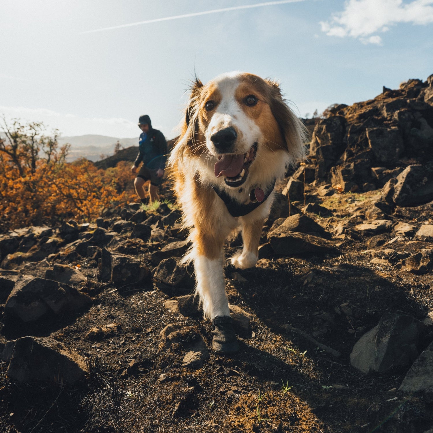 Ruffwear Ridgeline Hundeschuhe – Robuster Pfotenschutz für anspruchsvolle Trails und raues Gelände - Woofshack