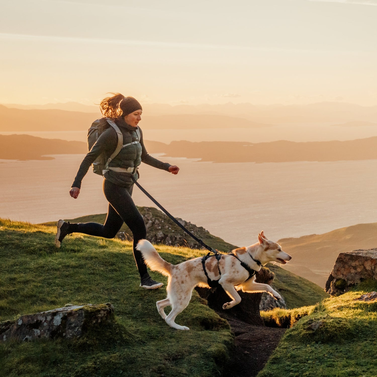 Ruffwear Ridgeline Leash – Reflektierende Hundeleine mit Crux Karabiner für sichere Abenteuer bei Tag und Nacht - Woofshack