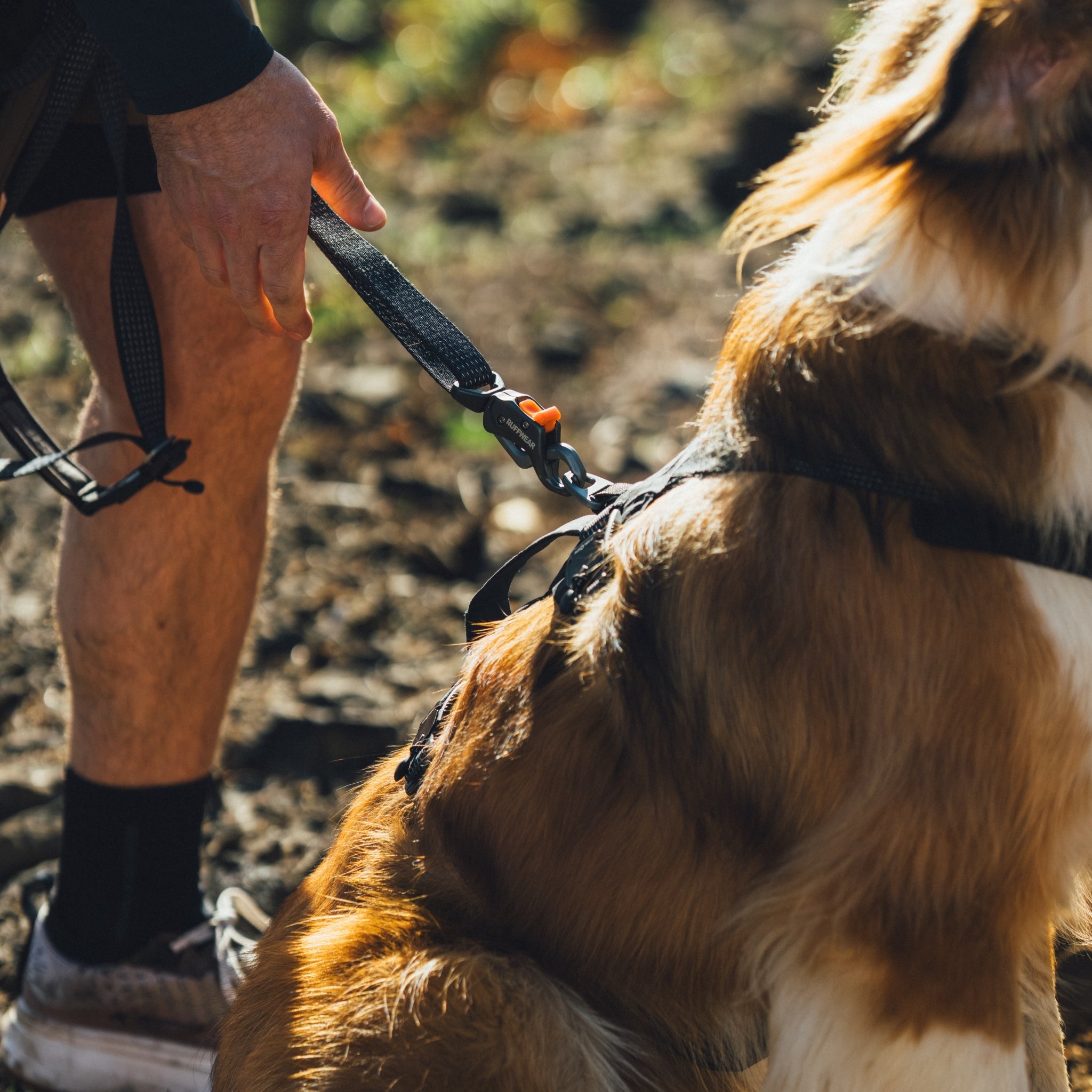 Ruffwear Ridgeline Leash – Reflektierende Hundeleine mit Crux Karabiner für sichere Abenteuer bei Tag und Nacht - Woofshack