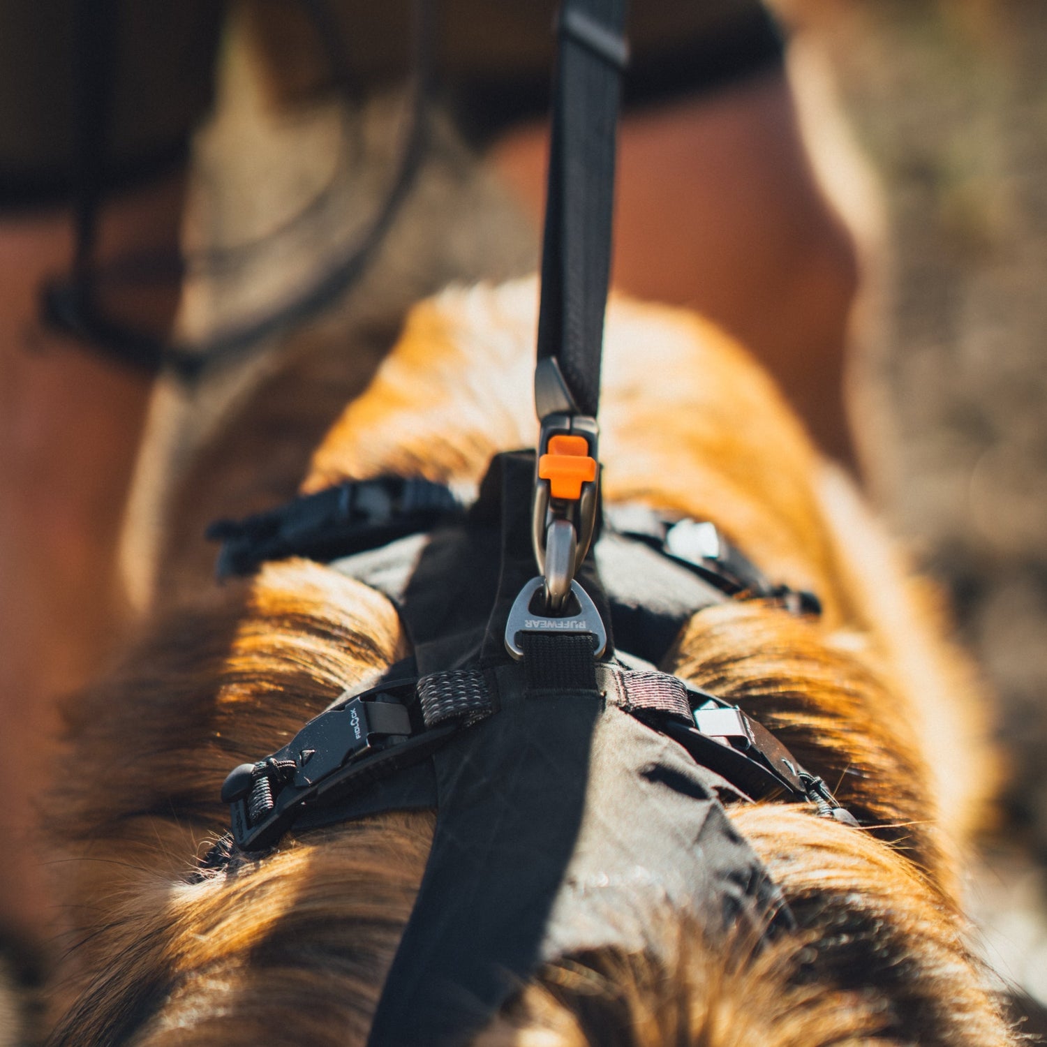 Ruffwear Ridgeline Leash – Reflektierende Hundeleine mit Crux Karabiner für sichere Abenteuer bei Tag und Nacht - Woofshack