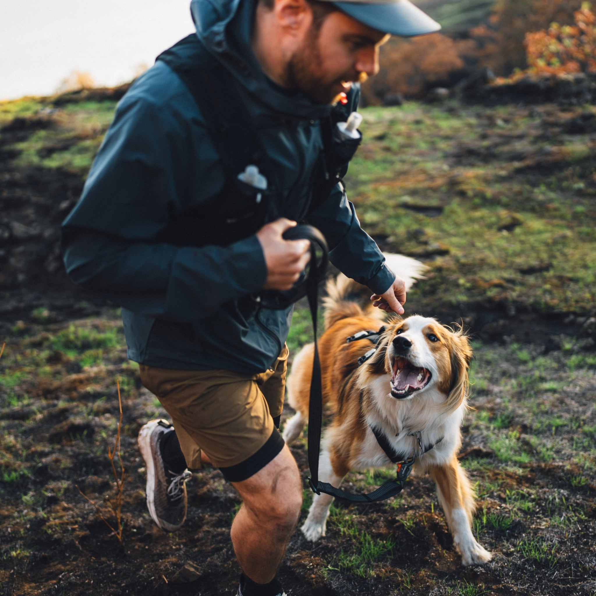 Ruffwear Ridgeline Leash – Reflektierende Hundeleine mit Crux Karabiner für sichere Abenteuer bei Tag und Nacht - Woofshack