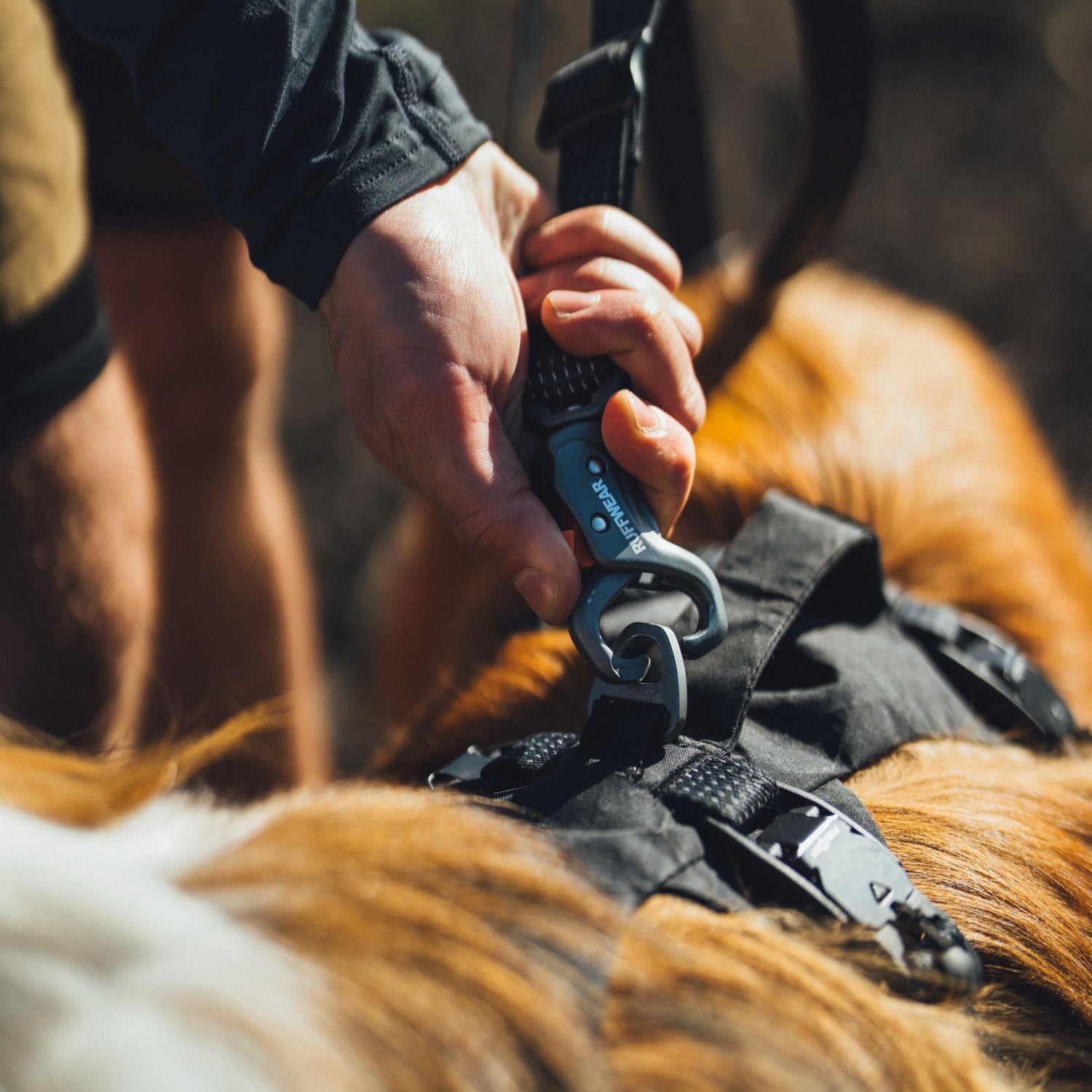 Ruffwear Ridgeline Leash – Reflektierende Hundeleine mit Crux Karabiner für sichere Abenteuer bei Tag und Nacht - Woofshack