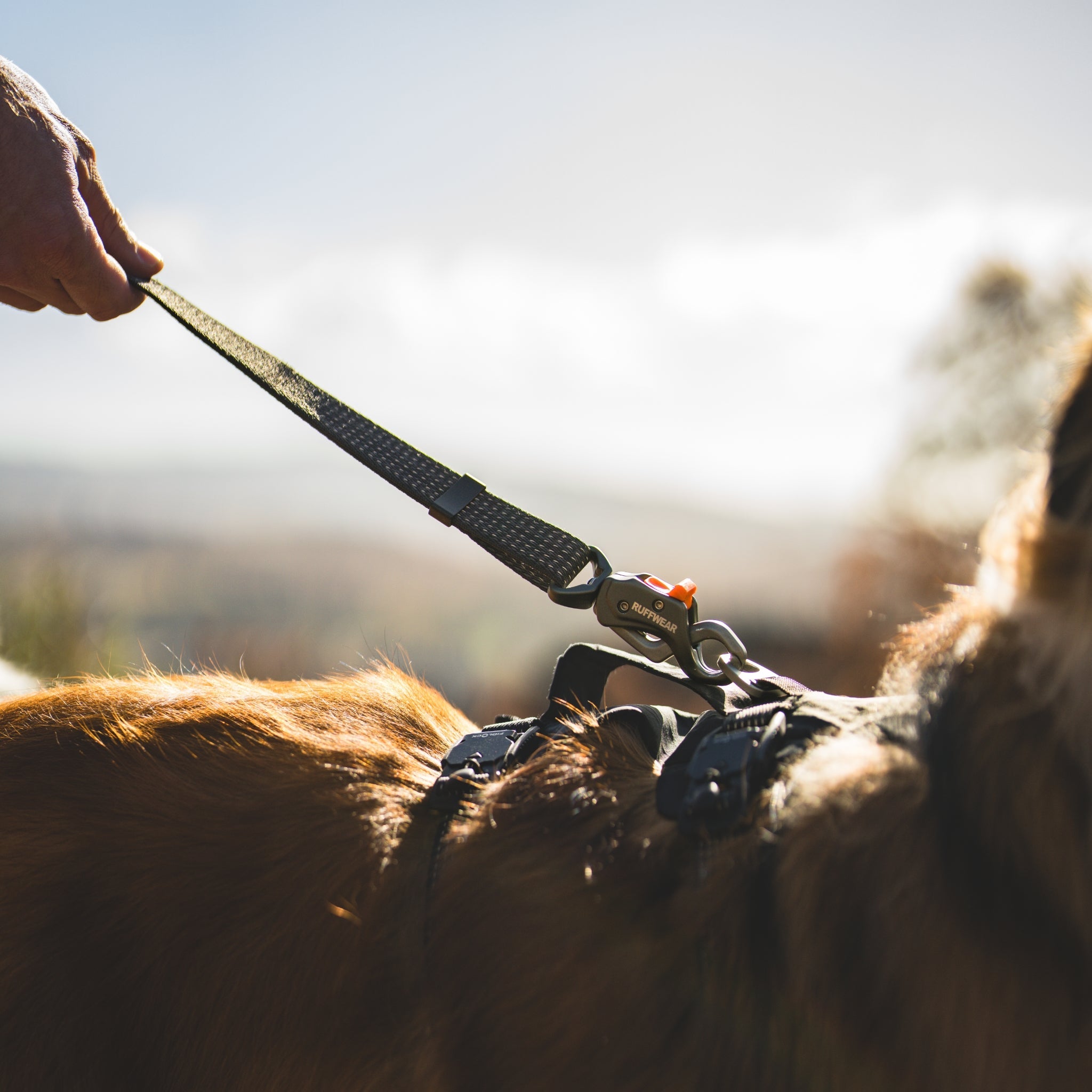 Ruffwear Ridgeline Leash – Reflektierende Hundeleine mit Crux Karabiner für sichere Abenteuer bei Tag und Nacht - Woofshack
