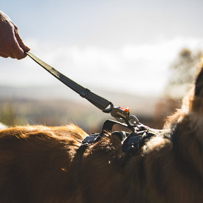 Ruffwear Ridgeline Leash – Reflektierende Hundeleine mit Crux Karabiner für sichere Abenteuer bei Tag und Nacht - Woofshack