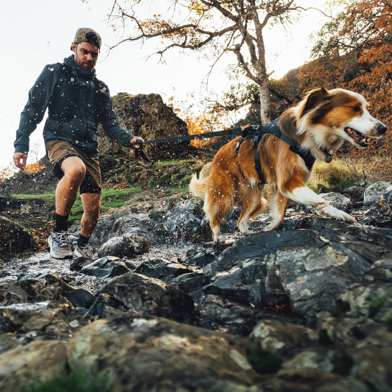 Ruffwear Ridgeline Leash – Reflektierende Hundeleine mit Crux Karabiner für sichere Abenteuer bei Tag und Nacht - Woofshack