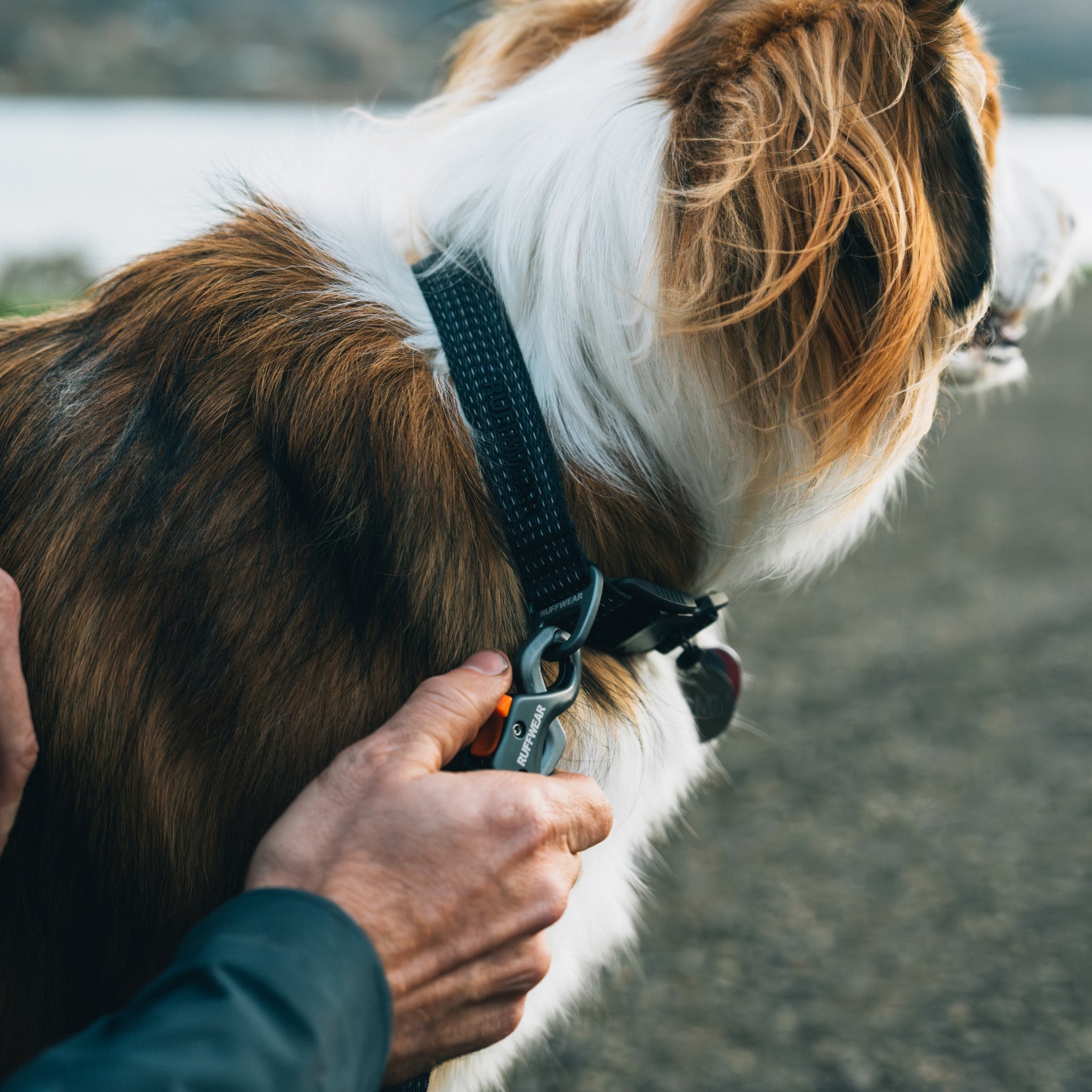 Ruffwear Ridgeline Leash – Reflektierende Hundeleine mit Crux Karabiner für sichere Abenteuer bei Tag und Nacht - Woofshack