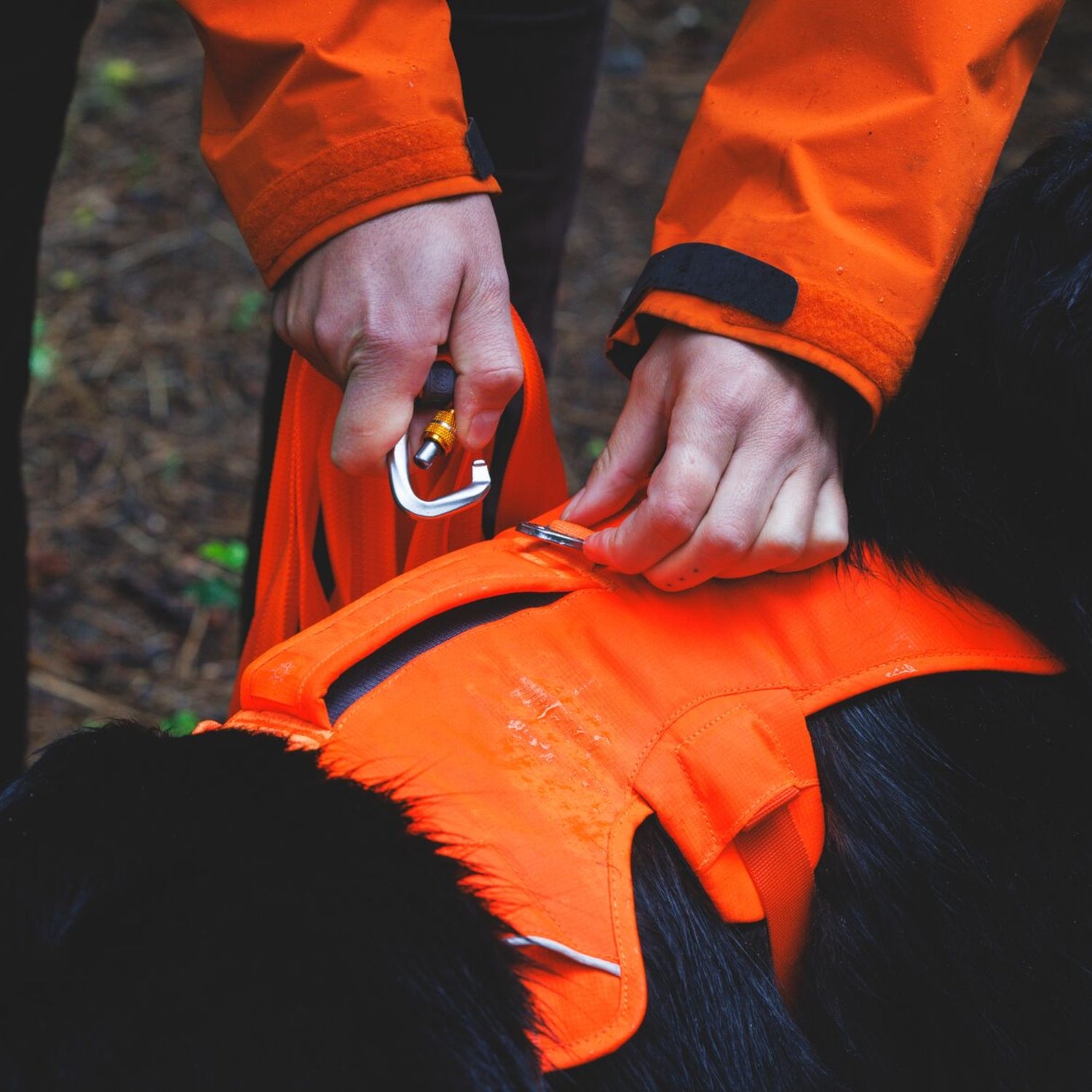 Ruffwear Rogue Long Line – Schleppleine 6,1 Meter für Rückruftraining, Freilauf &amp; Geländeeinsatz mit verriegelbarem Karabiner