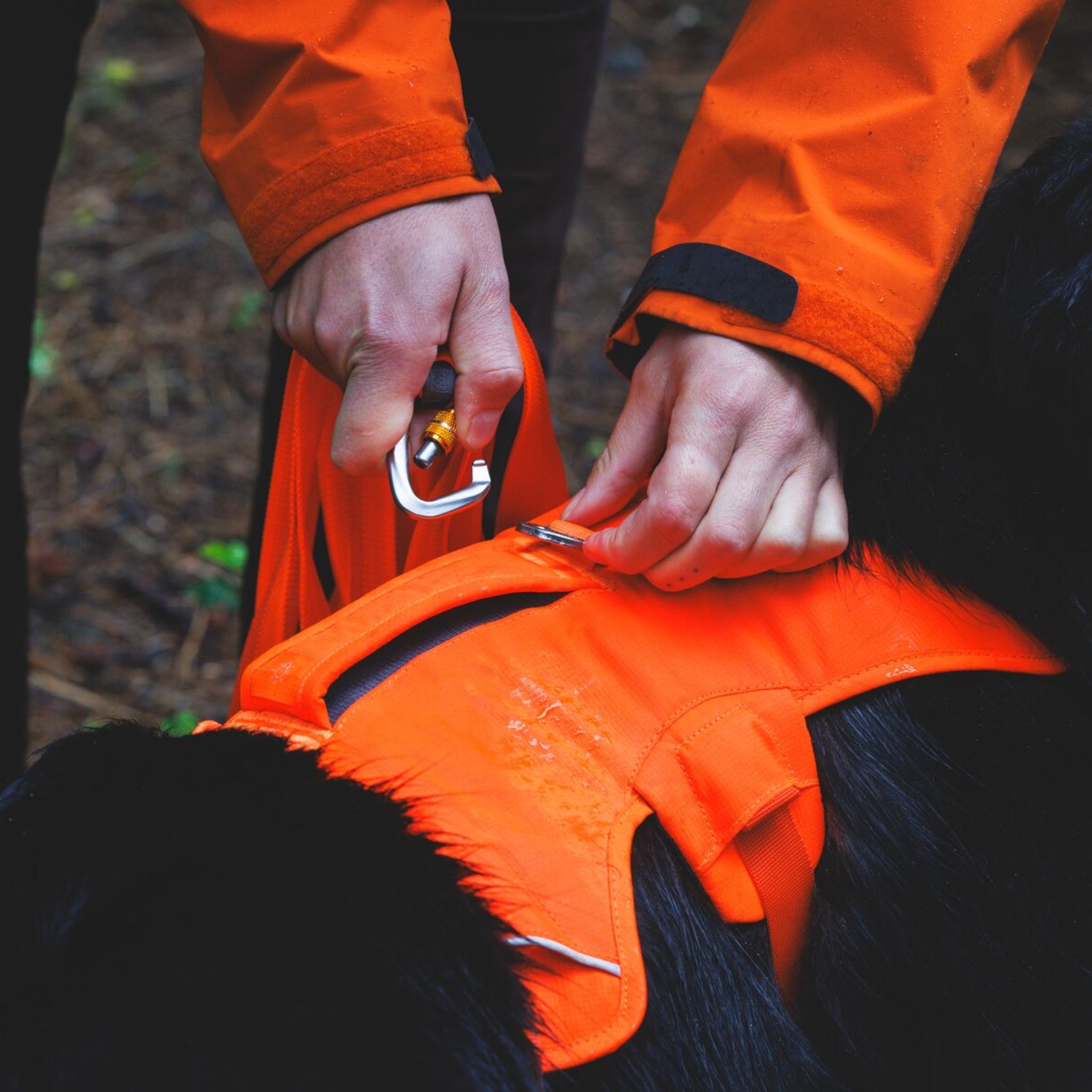 Ruffwear Rogue Long Line – Schleppleine 6,1 Meter für Rückruftraining, Freilauf &amp; Geländeeinsatz mit verriegelbarem Karabiner