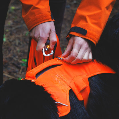 Ruffwear Rogue Long Line – Schleppleine 6,1 Meter für Rückruftraining, Freilauf &amp; Geländeeinsatz mit verriegelbarem Karabiner