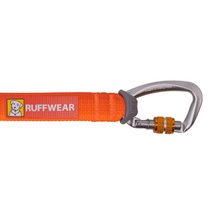 Ruffwear Rogue Long Line – Schleppleine 6,1 Meter für Rückruftraining, Freilauf &amp; Geländeeinsatz mit verriegelbarem Karabiner