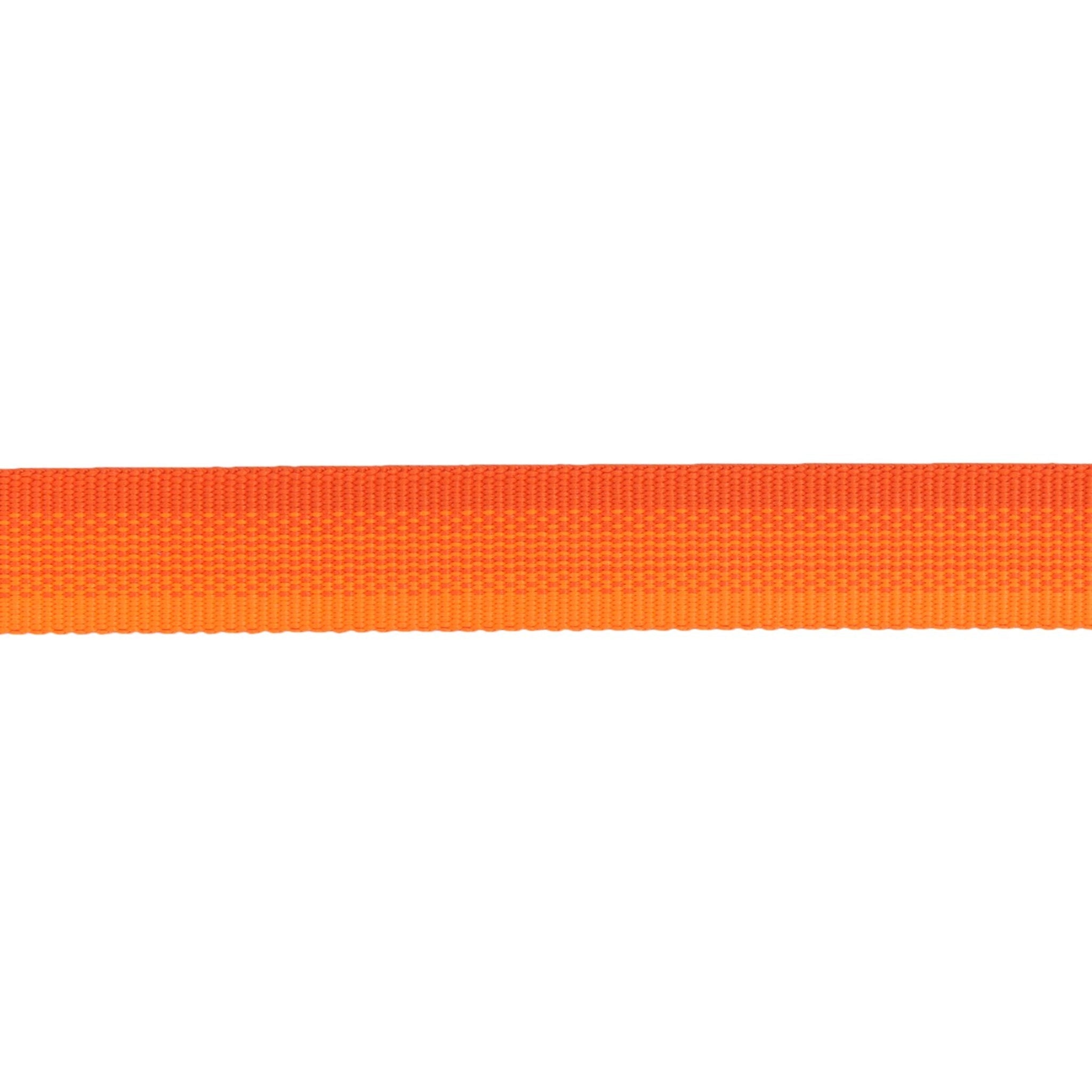Ruffwear Rogue Long Line – Schleppleine 6,1 Meter für Rückruftraining, Freilauf &amp; Geländeeinsatz mit verriegelbarem Karabiner - Woofshack
