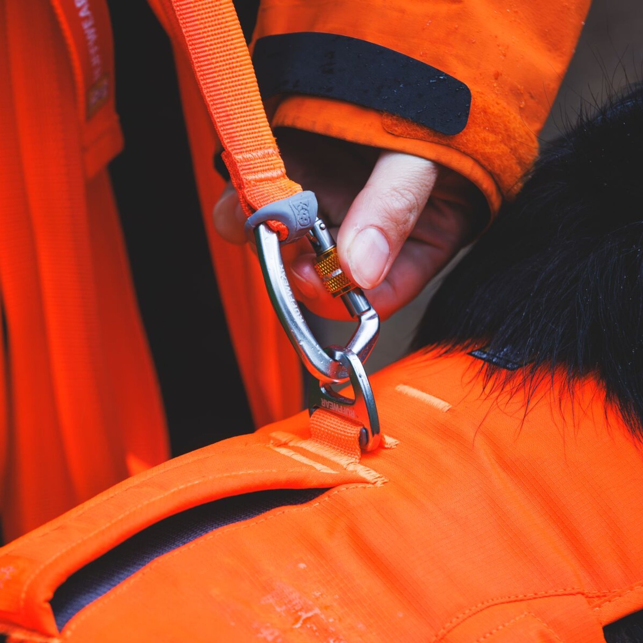 Ruffwear Rogue Long Line – Schleppleine 6,1 Meter für Rückruftraining, Freilauf &amp; Geländeeinsatz mit verriegelbarem Karabiner - Woofshack