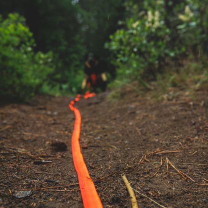 Ruffwear Rogue Long Line – Schleppleine 6,1 Meter für Rückruftraining, Freilauf &amp; Geländeeinsatz mit verriegelbarem Karabiner - Woofshack