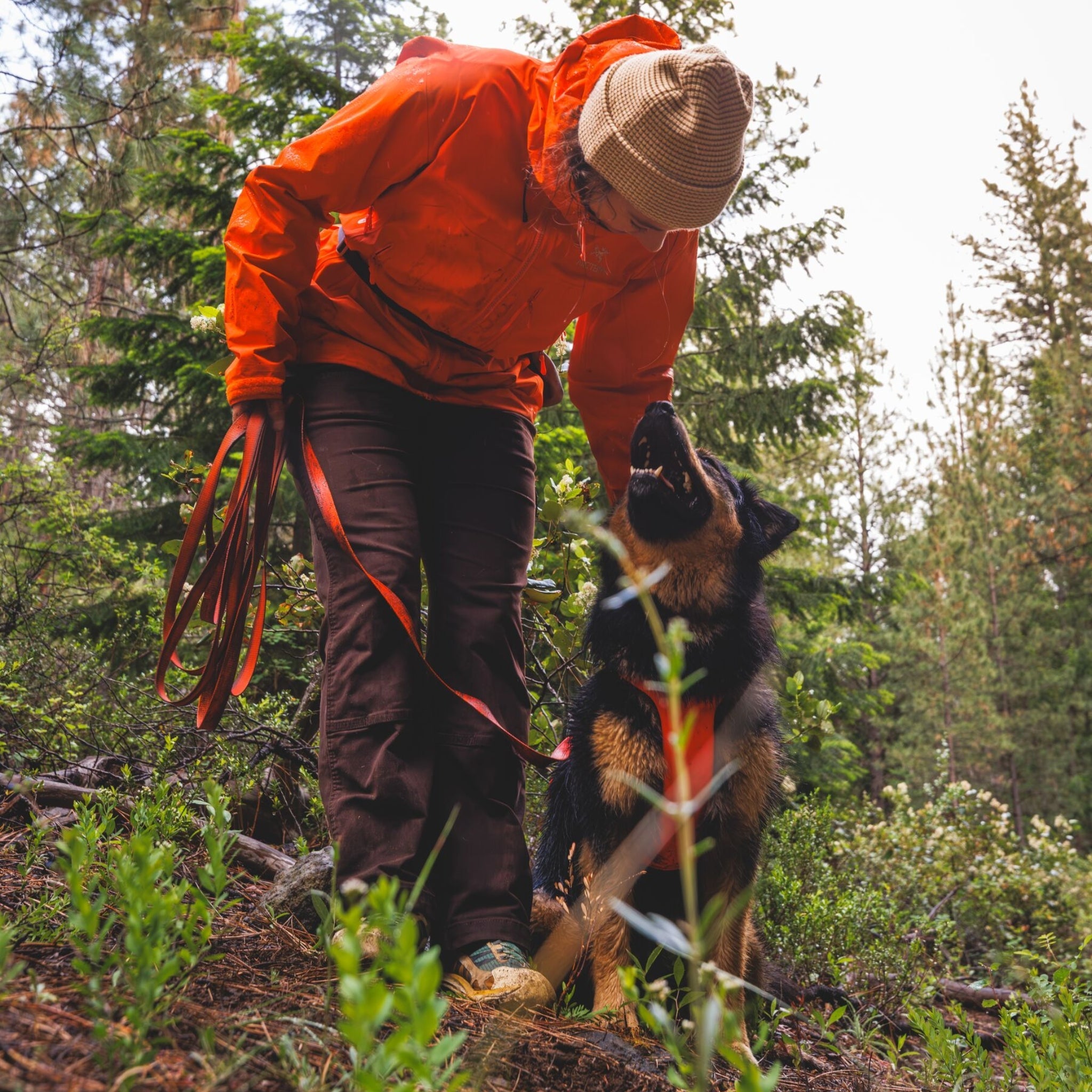 Ruffwear Rogue Long Line – Schleppleine 6,1 Meter für Rückruftraining, Freilauf &amp; Geländeeinsatz mit verriegelbarem Karabiner - Woofshack