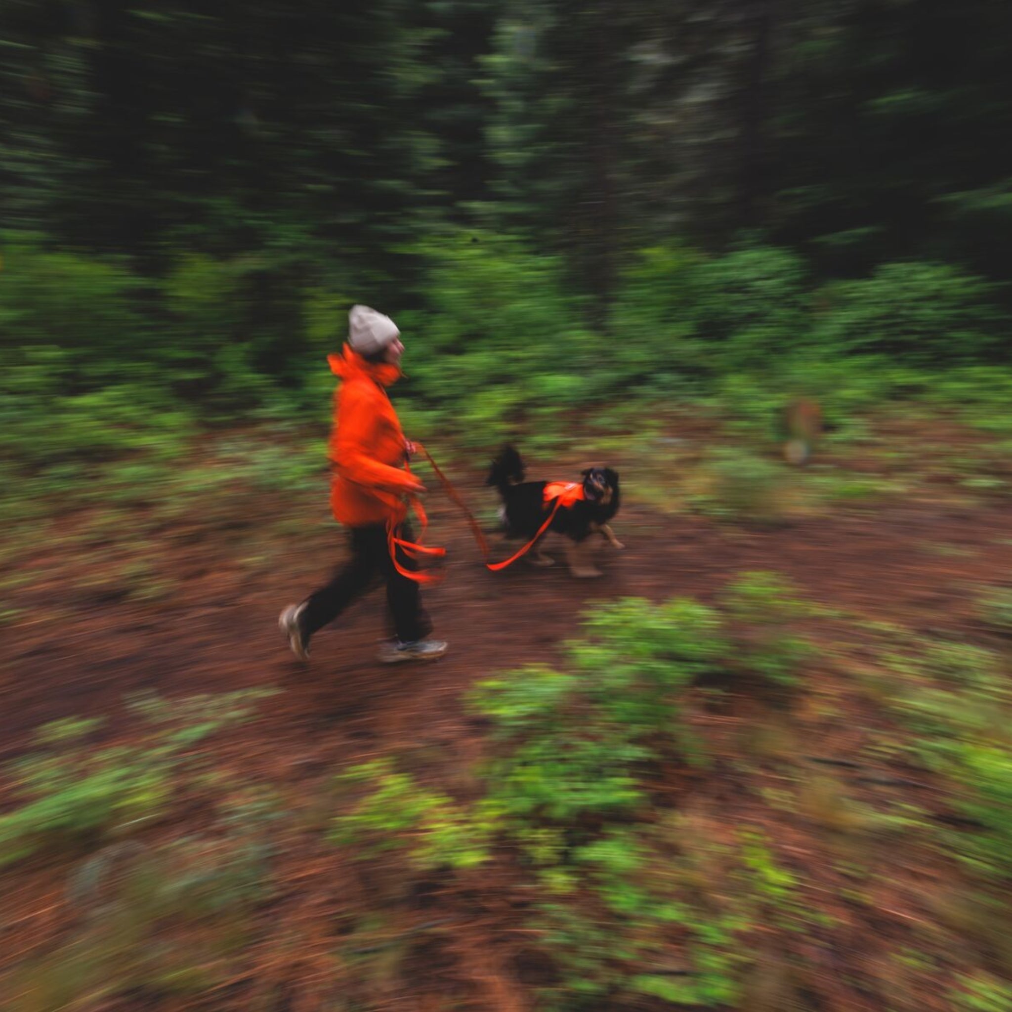 Ruffwear Rogue Long Line – Schleppleine 6,1 Meter für Rückruftraining, Freilauf &amp; Geländeeinsatz mit verriegelbarem Karabiner - Woofshack