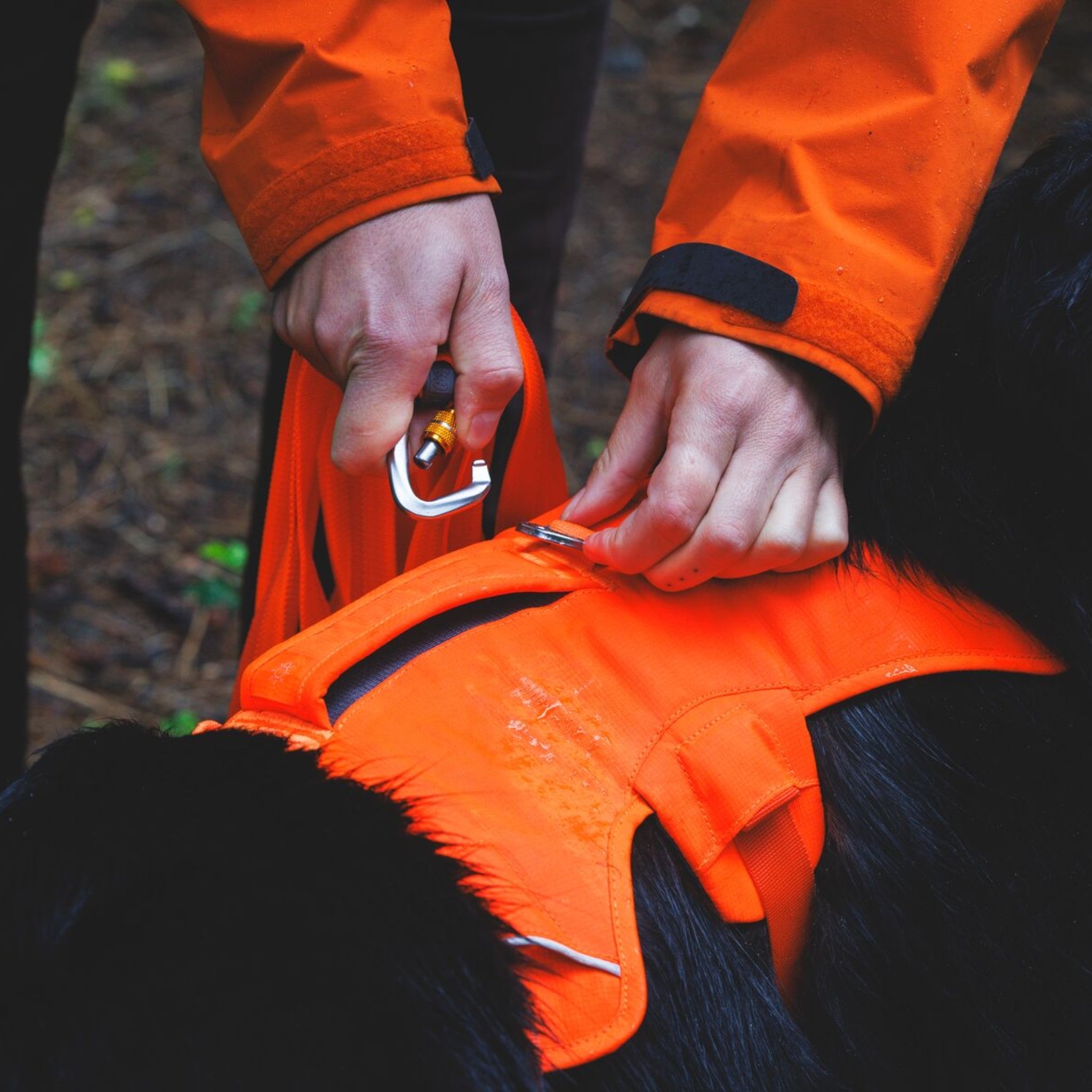 Ruffwear Rogue Long Line – Schleppleine 6,1 Meter für Rückruftraining, Freilauf &amp; Geländeeinsatz mit verriegelbarem Karabiner - Woofshack