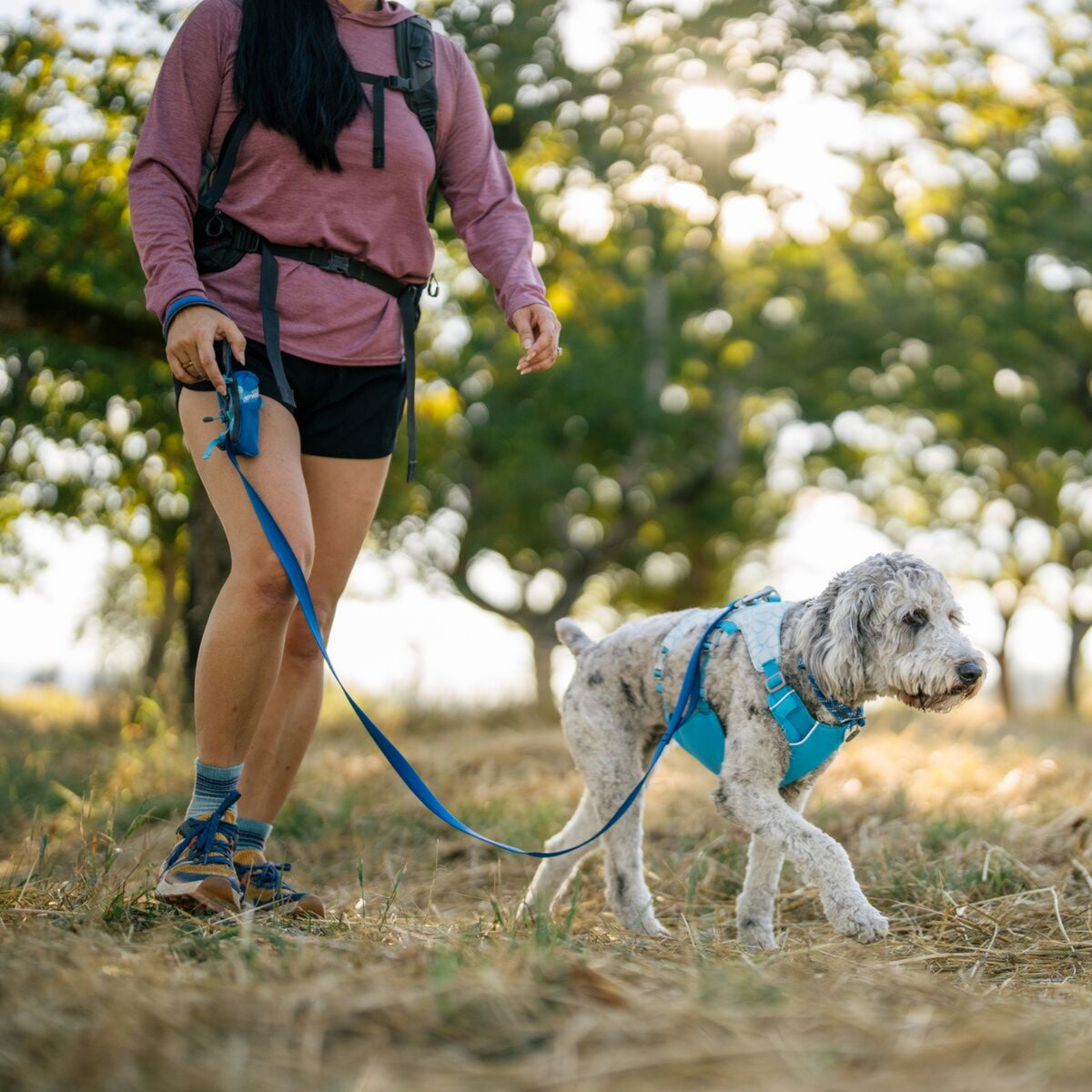 Ruffwear Stash Bag Mini – Robuster Kotbeutelspender für Hunde, immer griffbereit am Halsband oder Geschirr