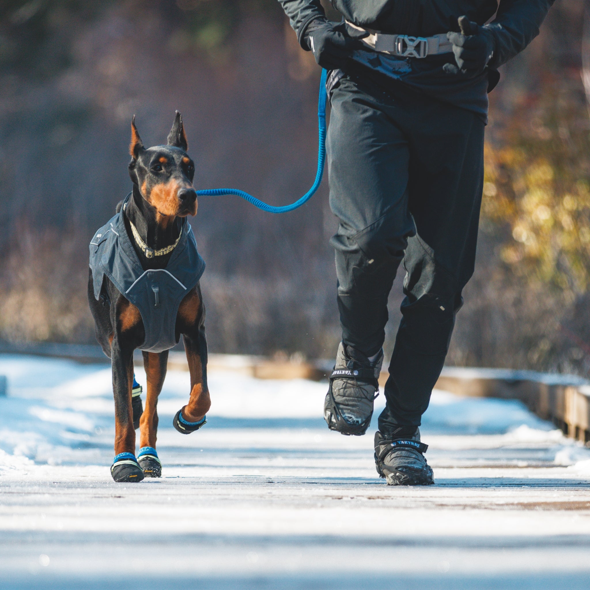 Ruffwear Summit Trex Hundeschuhe – Ultimativer Pfotenschutz mit rutschfester Sohle für Wanderungen, Stadt &amp; Alltag bei jedem Wetter