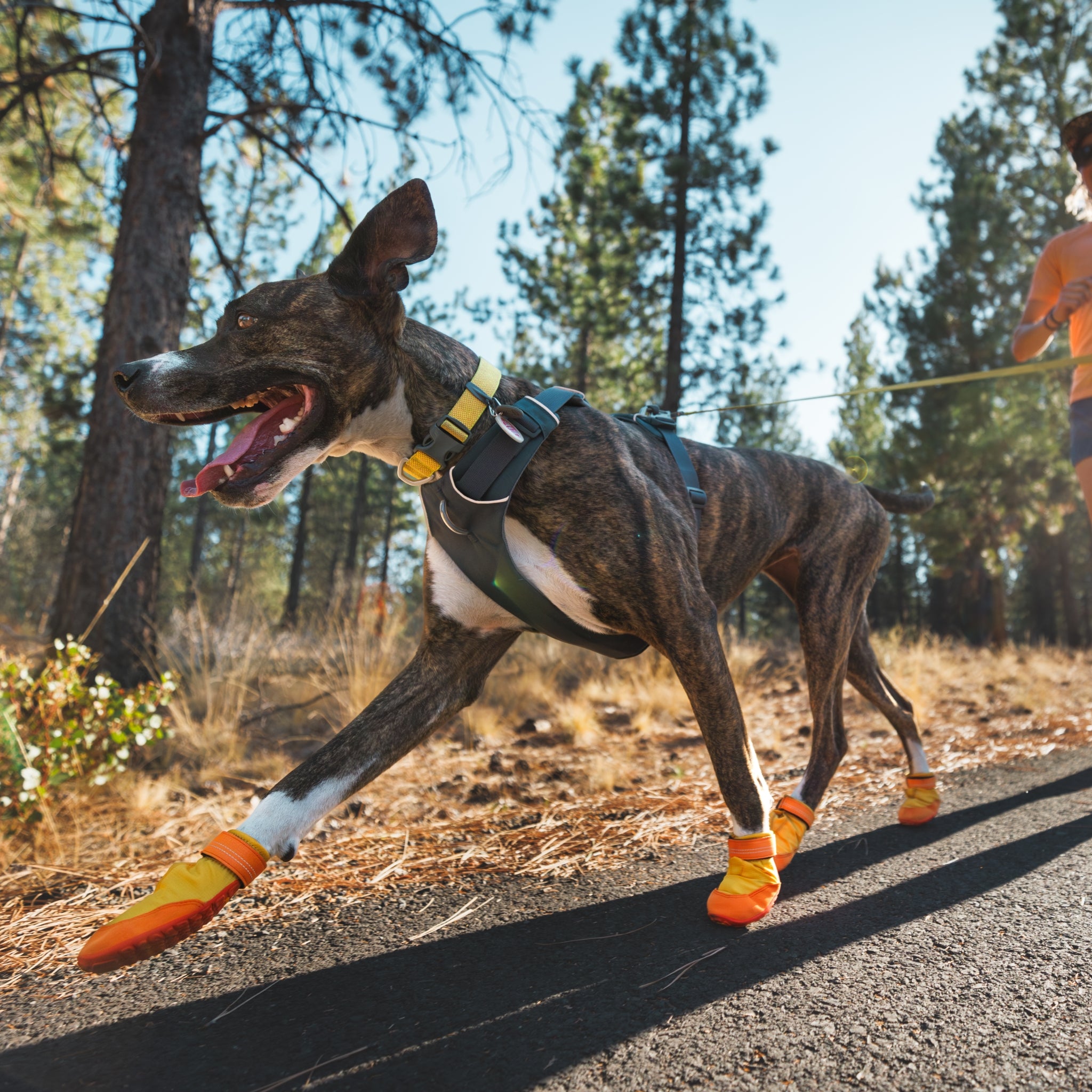 Ruffwear Summit Trex Hundeschuhe – Ultimativer Pfotenschutz mit rutschfester Sohle für Wanderungen, Stadt &amp; Alltag bei jedem Wetter