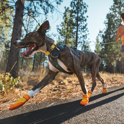 Ruffwear Summit Trex Hundeschuhe – Ultimativer Pfotenschutz mit rutschfester Sohle für Wanderungen, Stadt &amp; Alltag bei jedem Wetter