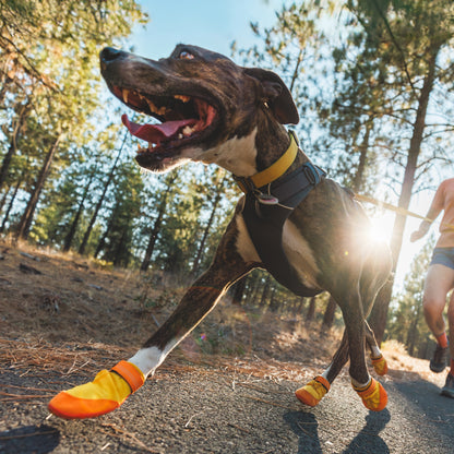 Ruffwear Summit Trex Hundeschuhe – Ultimativer Pfotenschutz mit rutschfester Sohle für Wanderungen, Stadt &amp; Alltag bei jedem Wetter