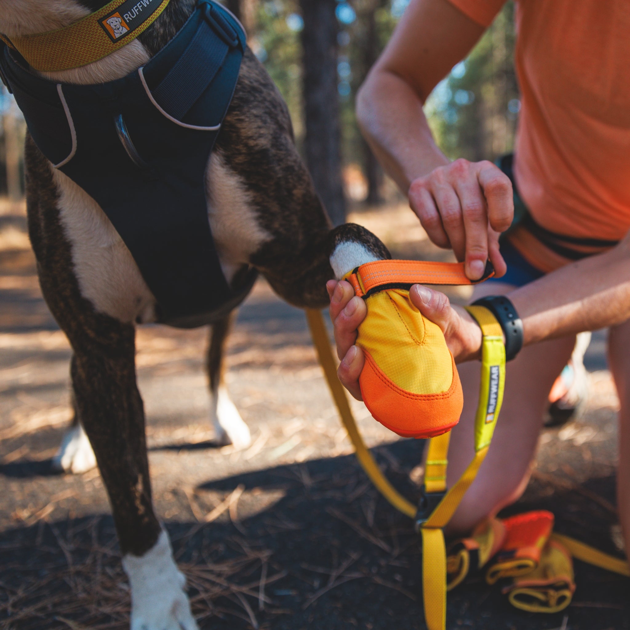 Ruffwear Summit Trex Hundeschuhe – Ultimativer Pfotenschutz mit rutschfester Sohle für Wanderungen, Stadt &amp; Alltag bei jedem Wetter