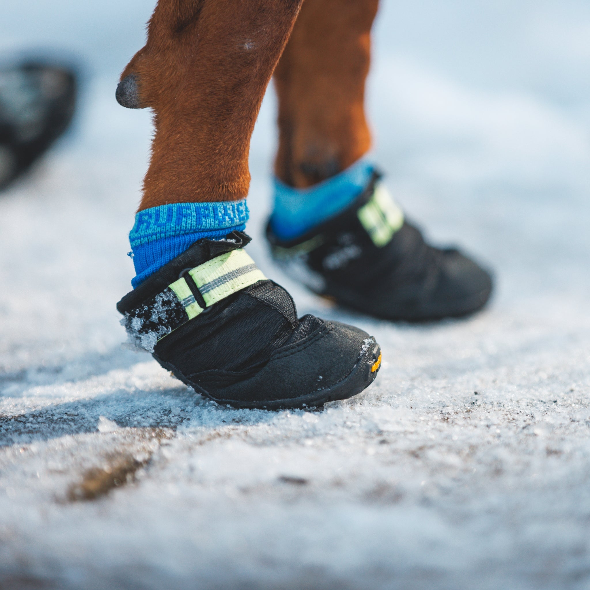 Ruffwear Summit Trex Hundeschuhe – Ultimativer Pfotenschutz mit rutschfester Sohle für Wanderungen, Stadt &amp; Alltag bei jedem Wetter