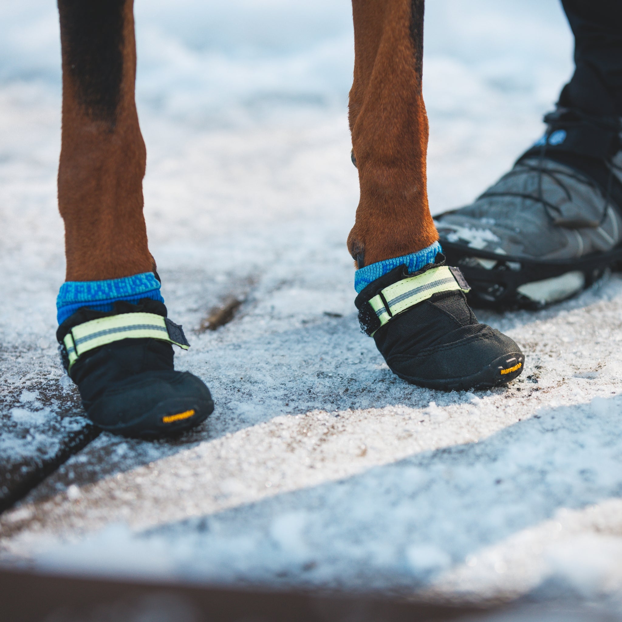 Ruffwear Summit Trex Hundeschuhe – Ultimativer Pfotenschutz mit rutschfester Sohle für Wanderungen, Stadt &amp; Alltag bei jedem Wetter