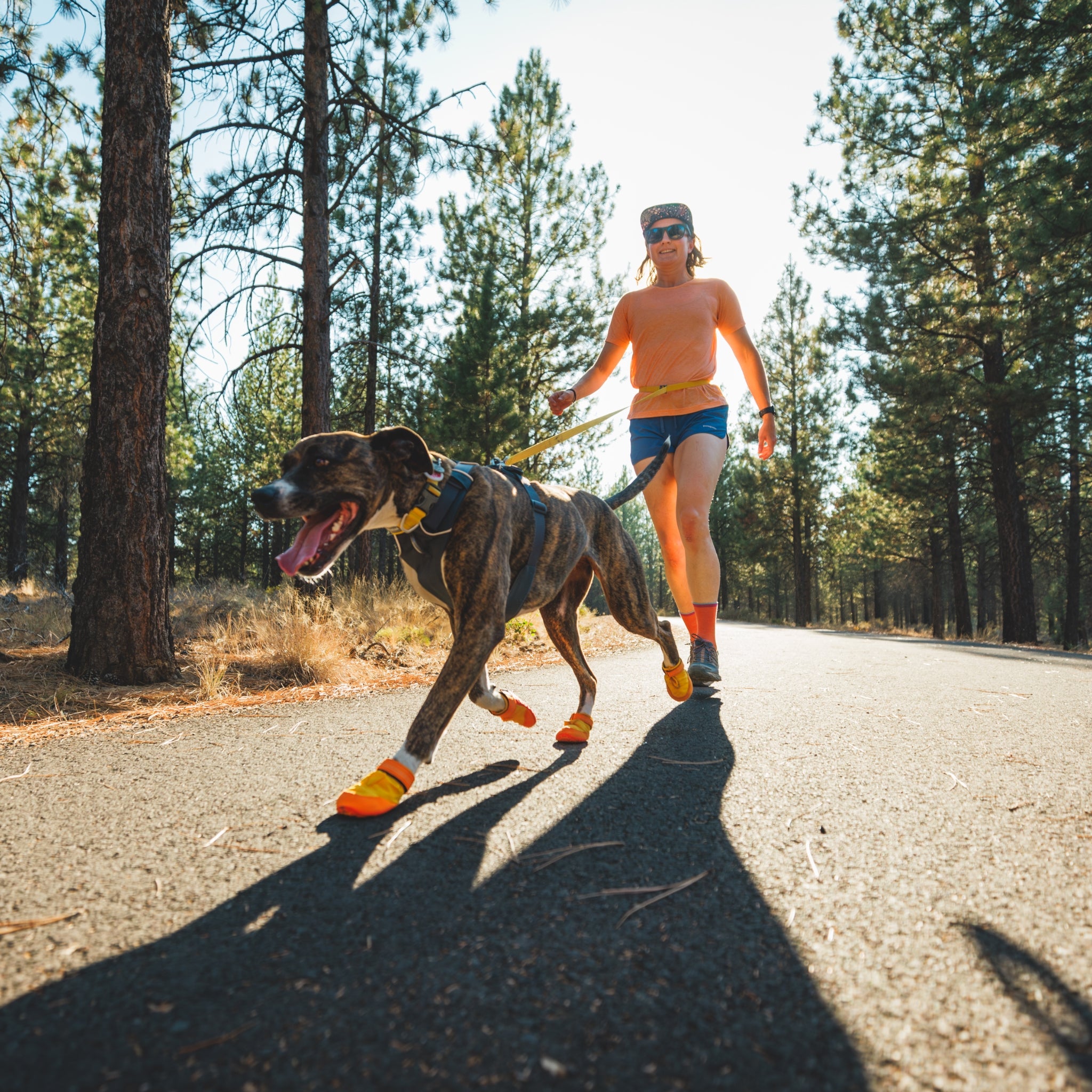 Ruffwear Summit Trex Hundeschuhe – Ultimativer Pfotenschutz mit rutschfester Sohle für Wanderungen, Stadt &amp; Alltag bei jedem Wetter