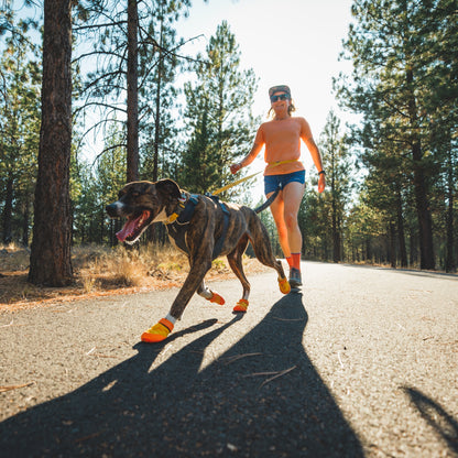 Ruffwear Summit Trex Hundeschuhe – Ultimativer Pfotenschutz mit rutschfester Sohle für Wanderungen, Stadt &amp; Alltag bei jedem Wetter