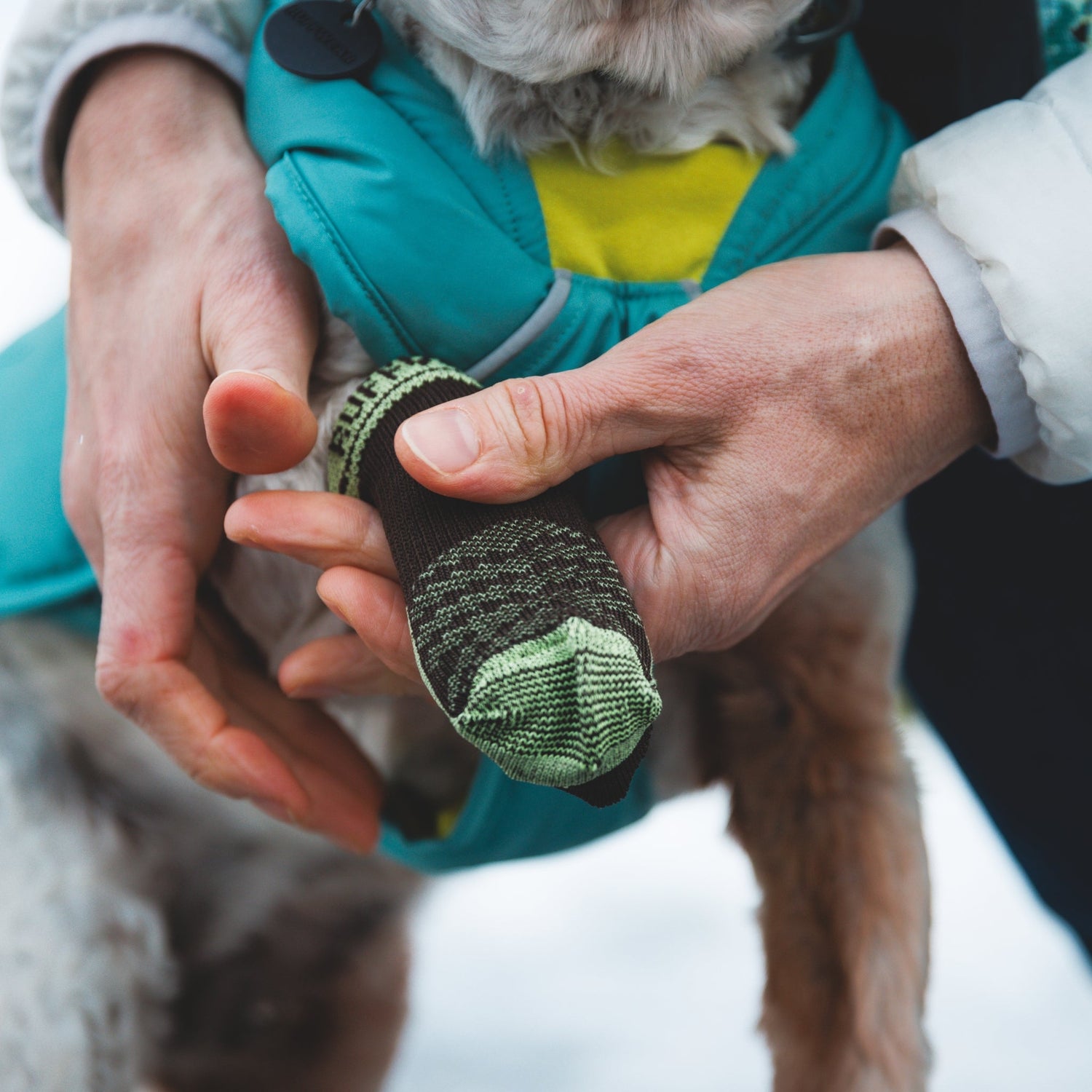 Ruffwear Summit Trex Hundeschuhe – Ultimativer Pfotenschutz mit rutschfester Sohle für Wanderungen, Stadt &amp; Alltag bei jedem Wetter - Woofshack
