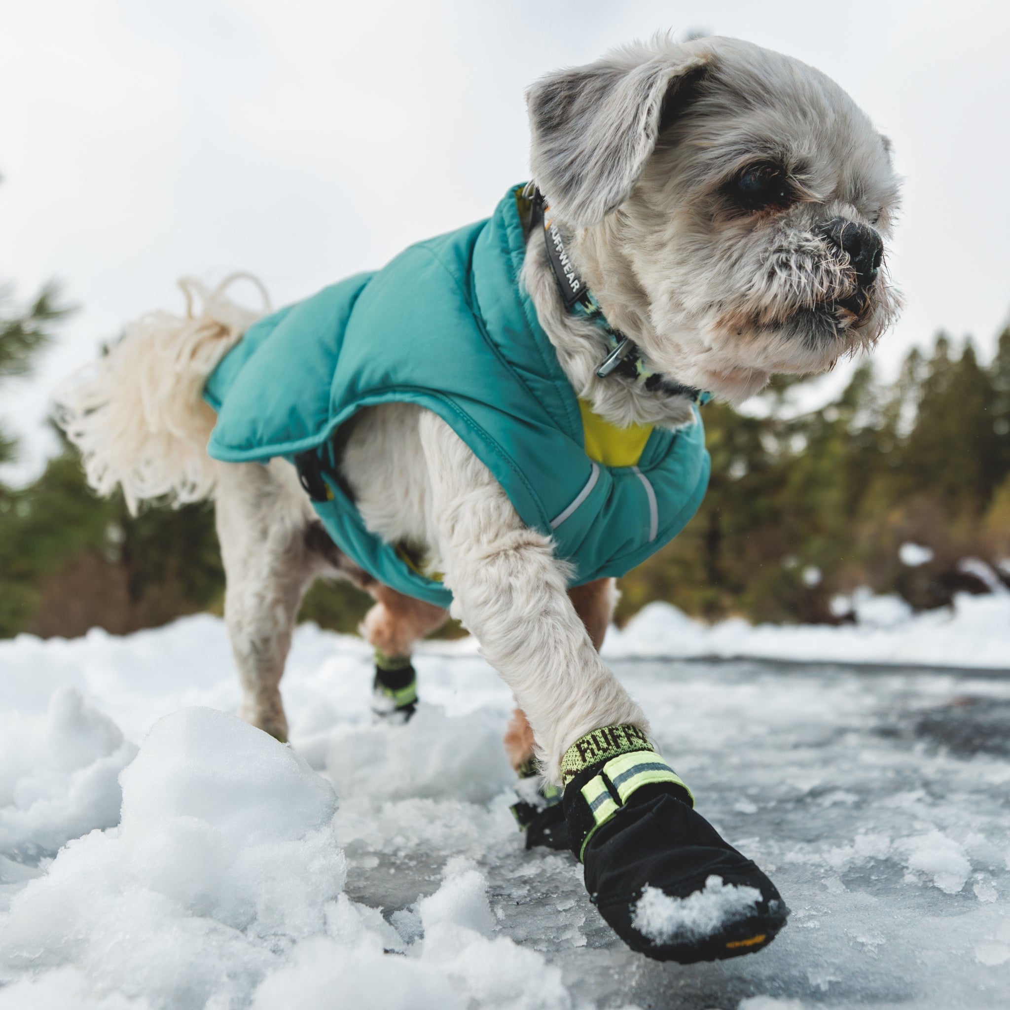Ruffwear Summit Trex Hundeschuhe – Ultimativer Pfotenschutz mit rutschfester Sohle für Wanderungen, Stadt &amp; Alltag bei jedem Wetter - Woofshack