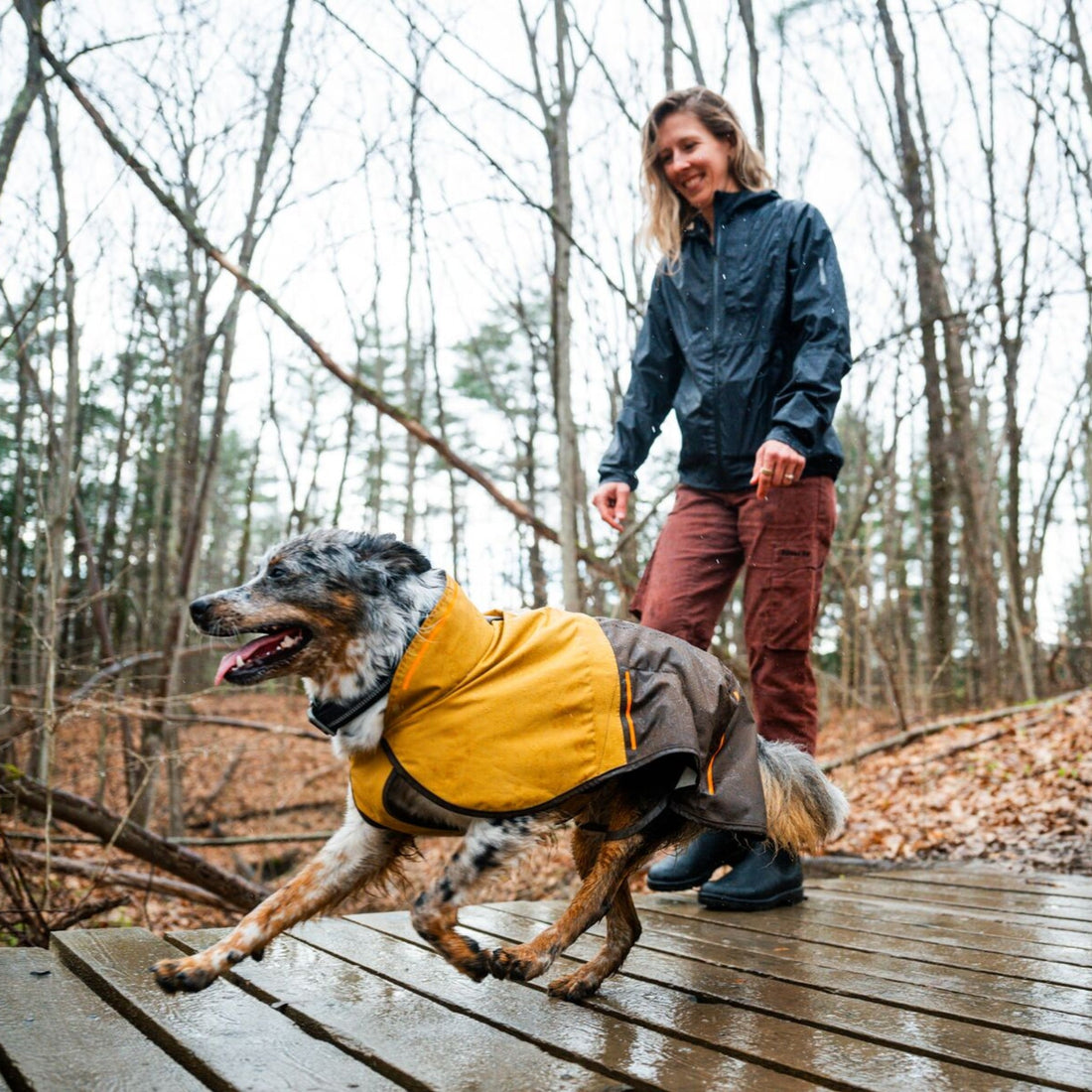 Ruffwear Sun Shower Hundemantel – Wasserdichter Outdoor-Regenmantel für Hunde | Schützt bei Wind &amp; Wetter, Sturm &amp; Schnee | Trockener Hund, glücklicher Mensch - Woofshack