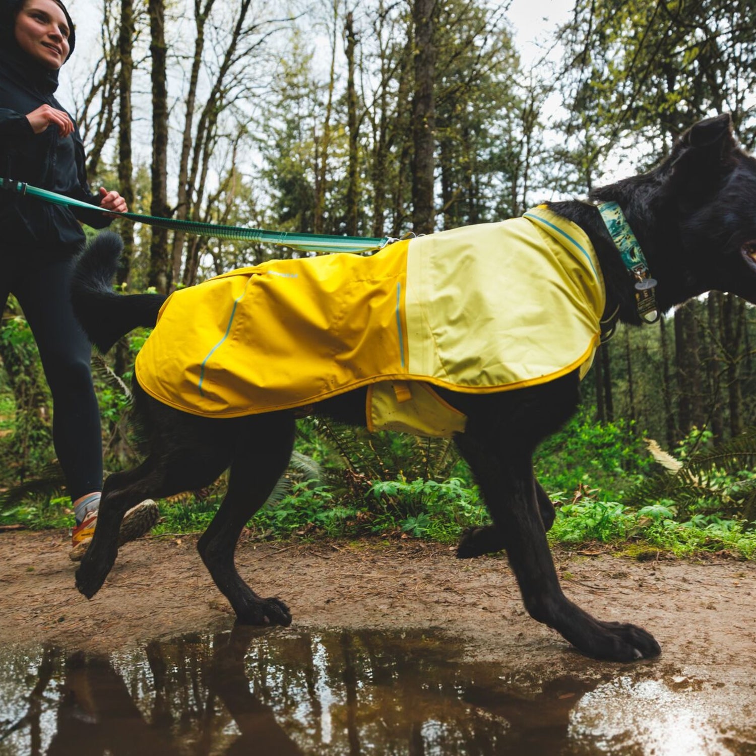 Ruffwear Sun Shower Hundemantel – Wasserdichter Outdoor-Regenmantel für Hunde | Schützt bei Wind &amp; Wetter, Sturm &amp; Schnee | Trockener Hund, glücklicher Mensch