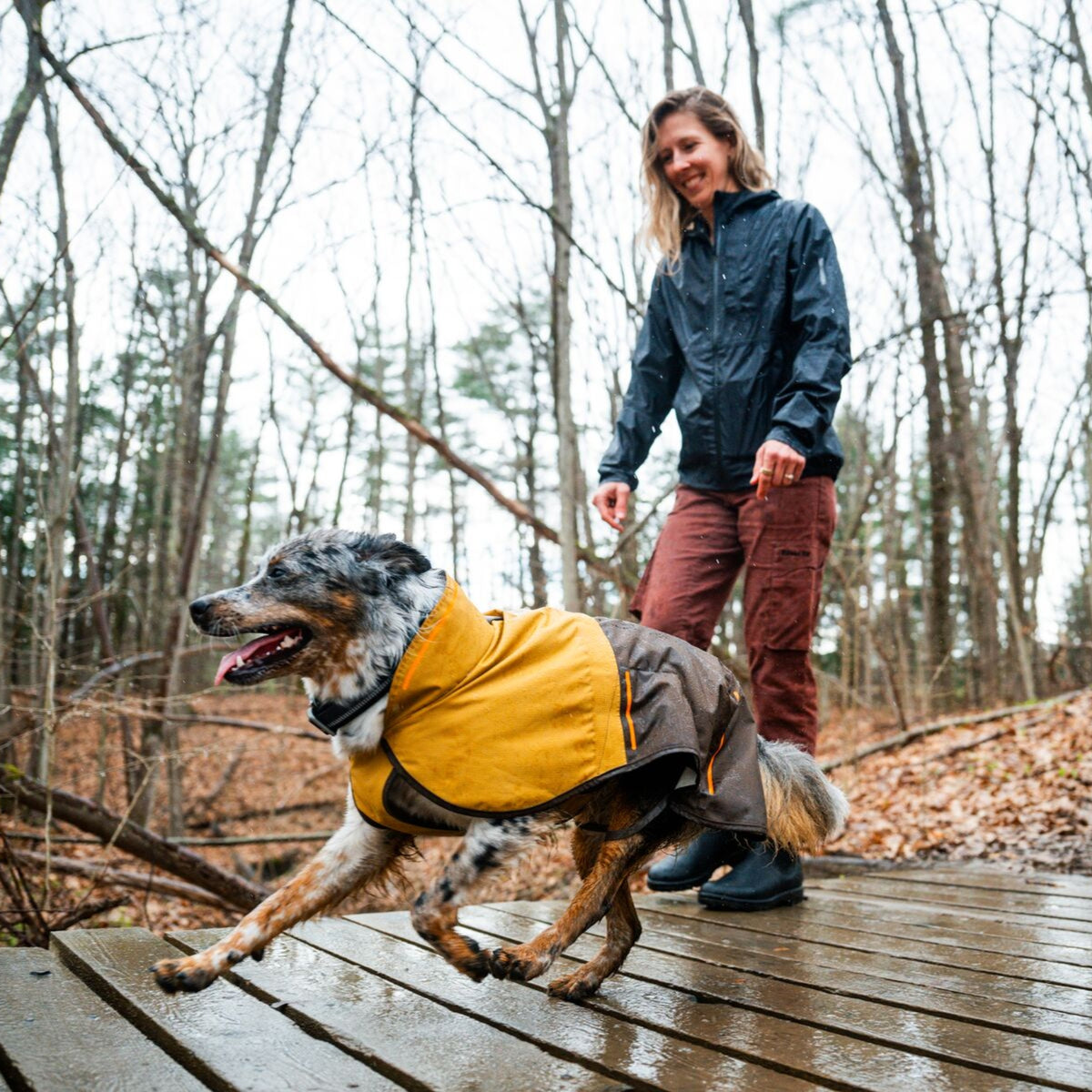 Ruffwear Sun Shower Hundemantel – Wasserdichter Outdoor-Regenmantel für Hunde | Schützt bei Wind &amp; Wetter, Sturm &amp; Schnee | Trockener Hund, glücklicher Mensch