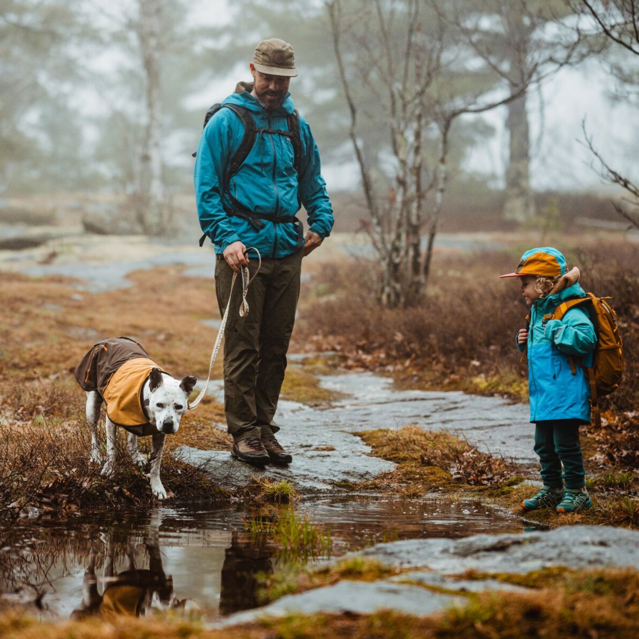 Ruffwear Sun Shower Hundemantel – Wasserdichter Outdoor-Regenmantel für Hunde | Schützt bei Wind &amp; Wetter, Sturm &amp; Schnee | Trockener Hund, glücklicher Mensch