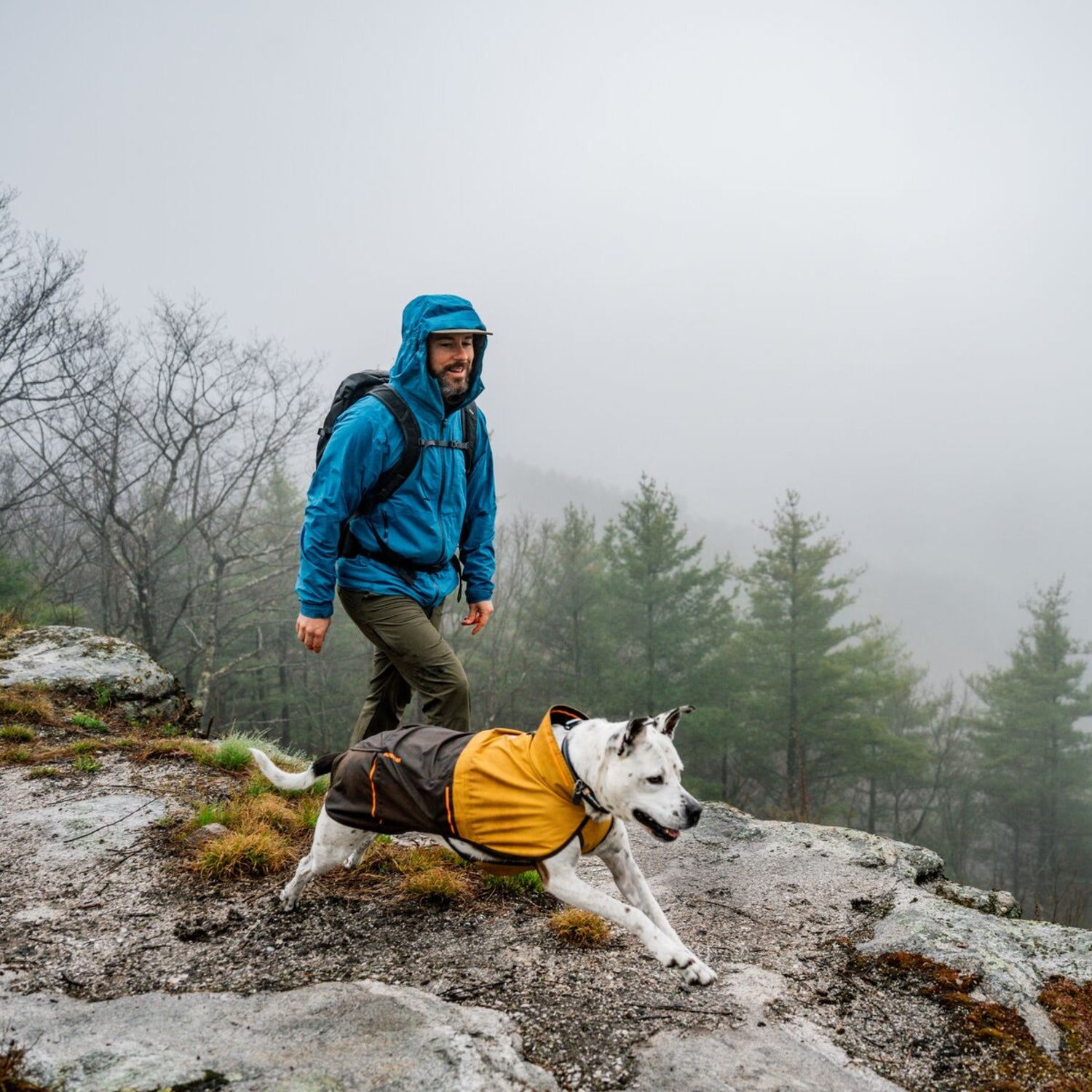 Ruffwear Sun Shower Hundemantel – Wasserdichter Outdoor-Regenmantel für Hunde | Schützt bei Wind &amp; Wetter, Sturm &amp; Schnee | Trockener Hund, glücklicher Mensch