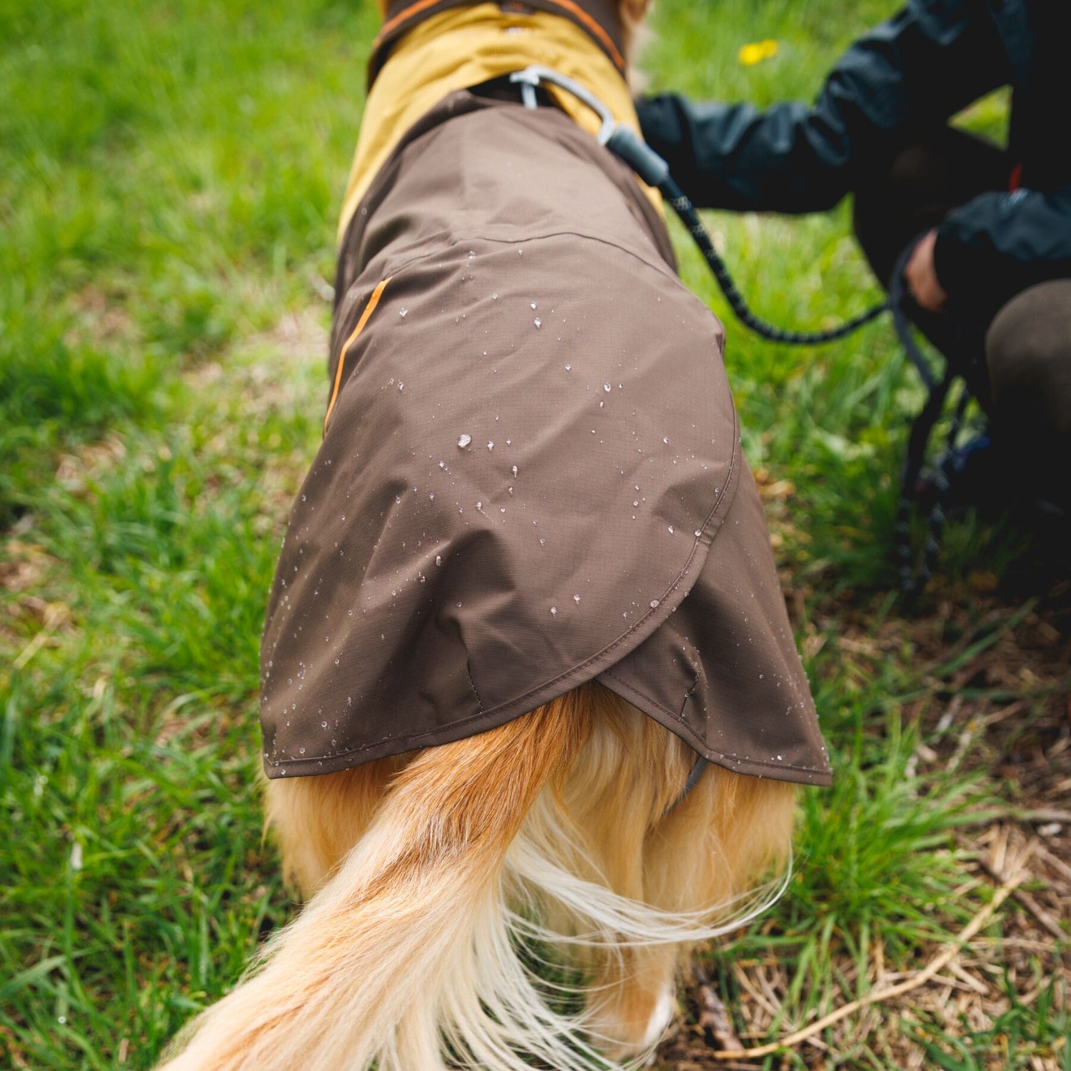 Ruffwear Sun Shower Hundemantel – Wasserdichter Outdoor-Regenmantel für Hunde | Schützt bei Wind &amp; Wetter, Sturm &amp; Schnee | Trockener Hund, glücklicher Mensch