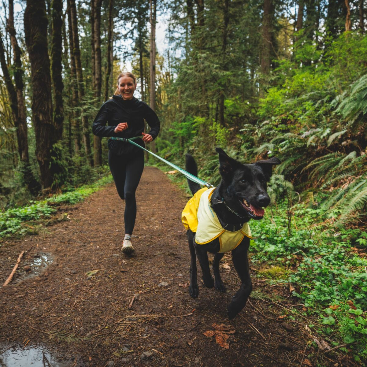 Ruffwear Sun Shower Hundemantel – Wasserdichter Outdoor-Regenmantel für Hunde | Schützt bei Wind &amp; Wetter, Sturm &amp; Schnee | Trockener Hund, glücklicher Mensch