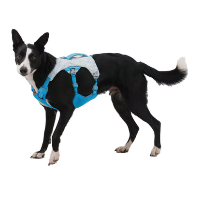 Ruffwear Swamp Cooler Harness – Kühlgeschirr für Hunde bei Hitze mit reflektierenden Elementen - Woofshack