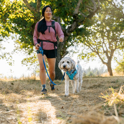 Ruffwear Swamp Cooler Harness – Kühlgeschirr für Hunde bei Hitze mit reflektierenden Elementen - Woofshack