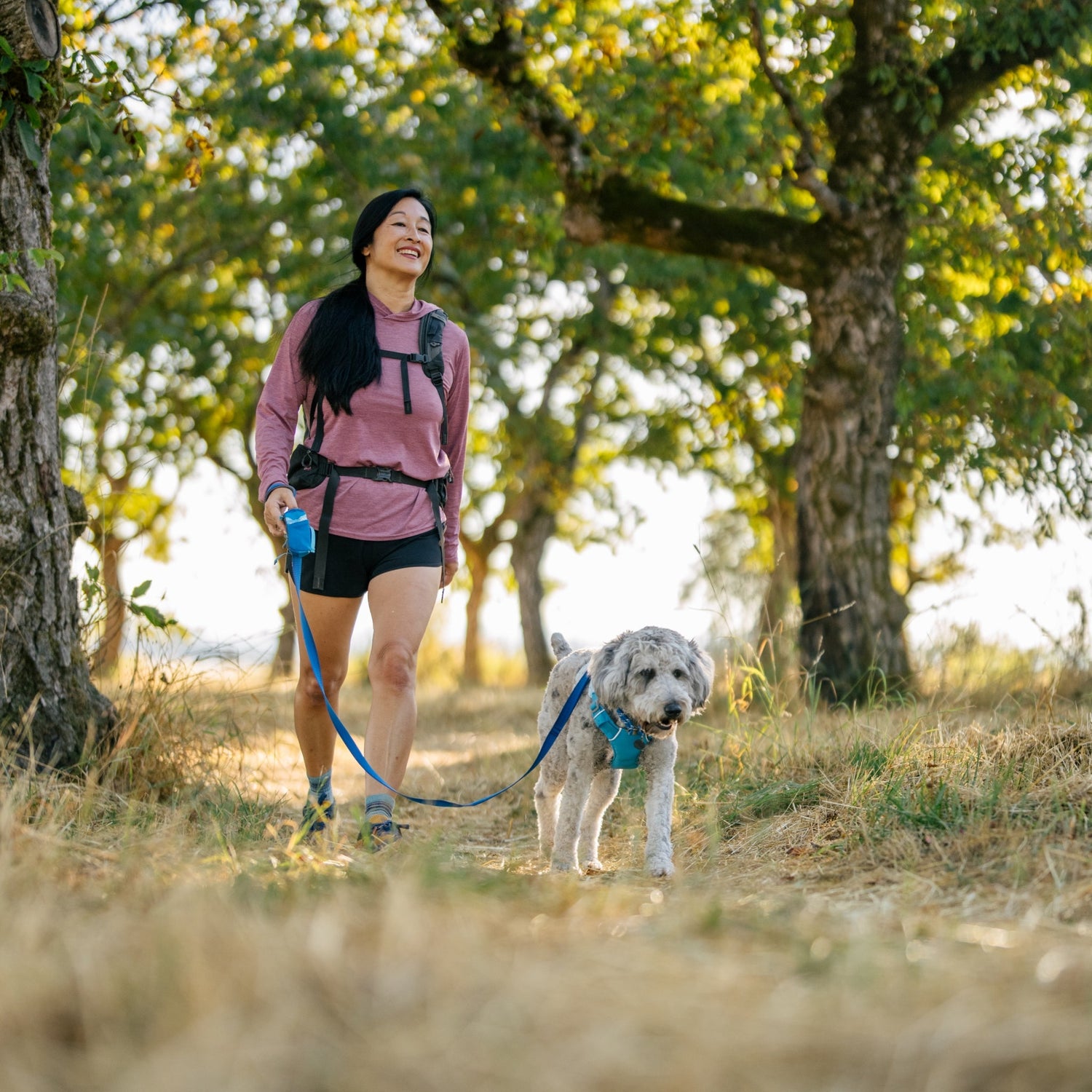 Ruffwear Swamp Cooler Harness – Kühlgeschirr für Hunde bei Hitze mit reflektierenden Elementen - Woofshack