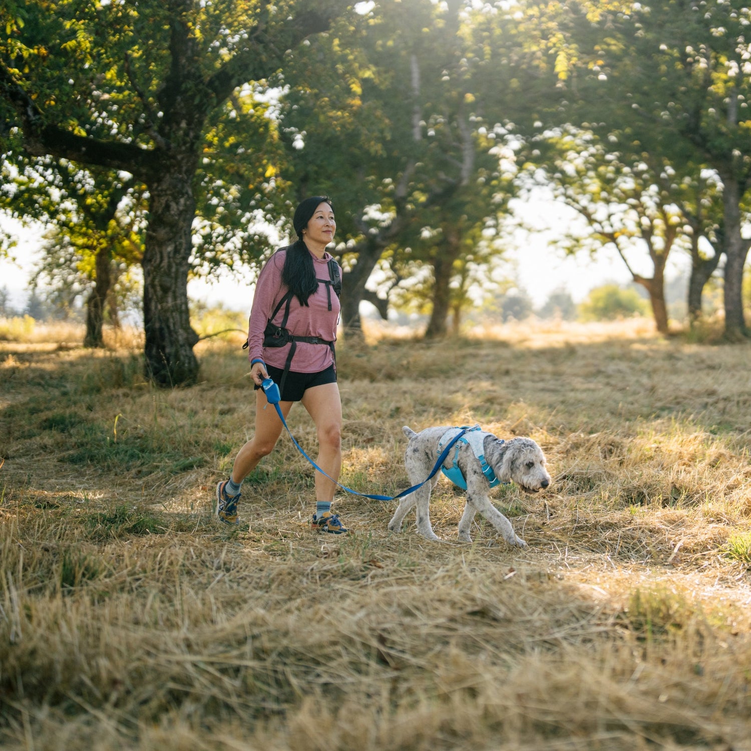 Ruffwear Swamp Cooler Harness – Kühlgeschirr für Hunde bei Hitze mit reflektierenden Elementen - Woofshack