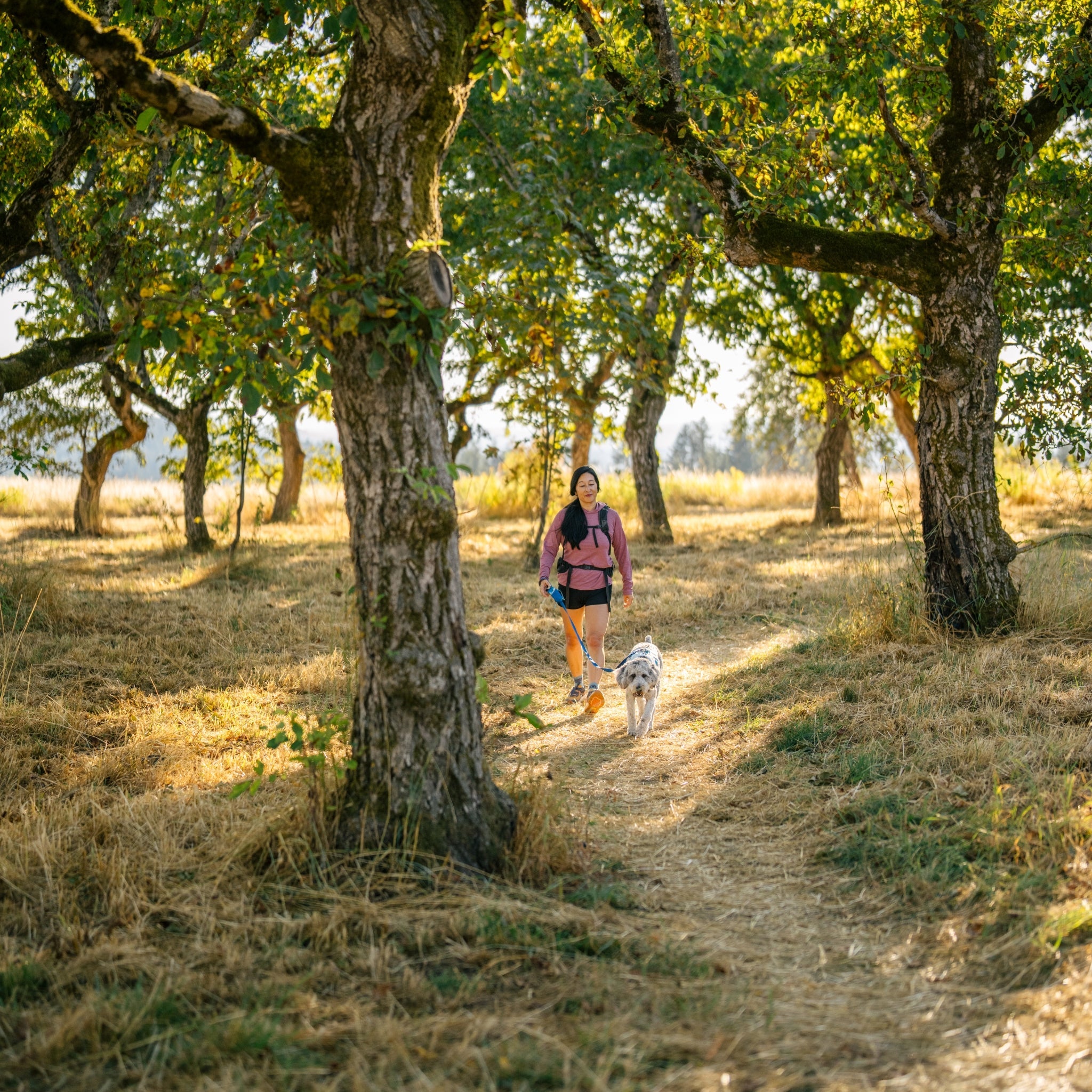 Ruffwear Swamp Cooler Harness – Kühlgeschirr für Hunde bei Hitze mit reflektierenden Elementen - Woofshack
