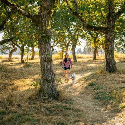 Ruffwear Swamp Cooler Harness – Kühlgeschirr für Hunde bei Hitze mit reflektierenden Elementen - Woofshack