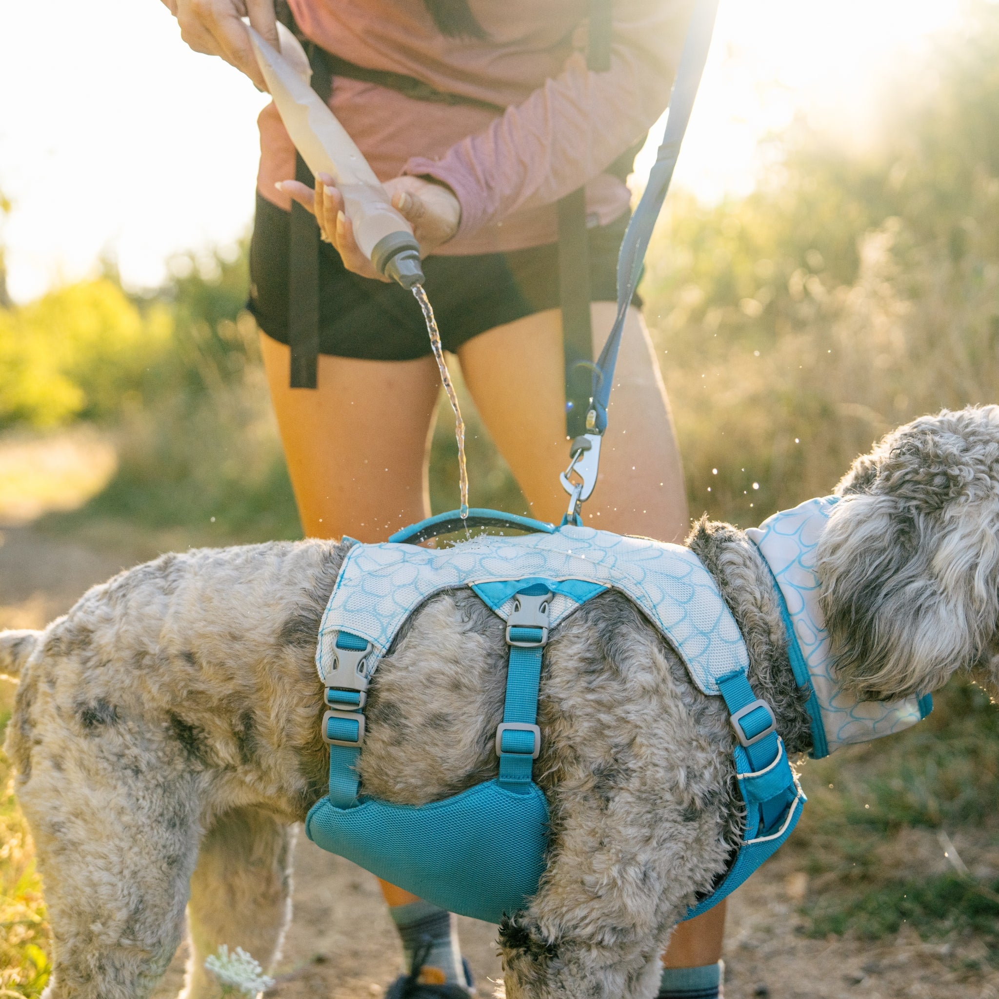 Ruffwear Swamp Cooler Harness – Kühlgeschirr für Hunde bei Hitze mit reflektierenden Elementen - Woofshack