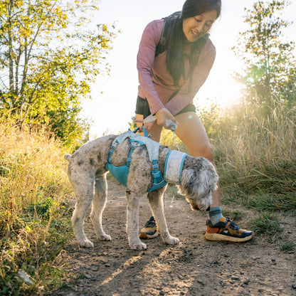 Ruffwear Swamp Cooler Harness – Kühlgeschirr für Hunde bei Hitze mit reflektierenden Elementen - Woofshack
