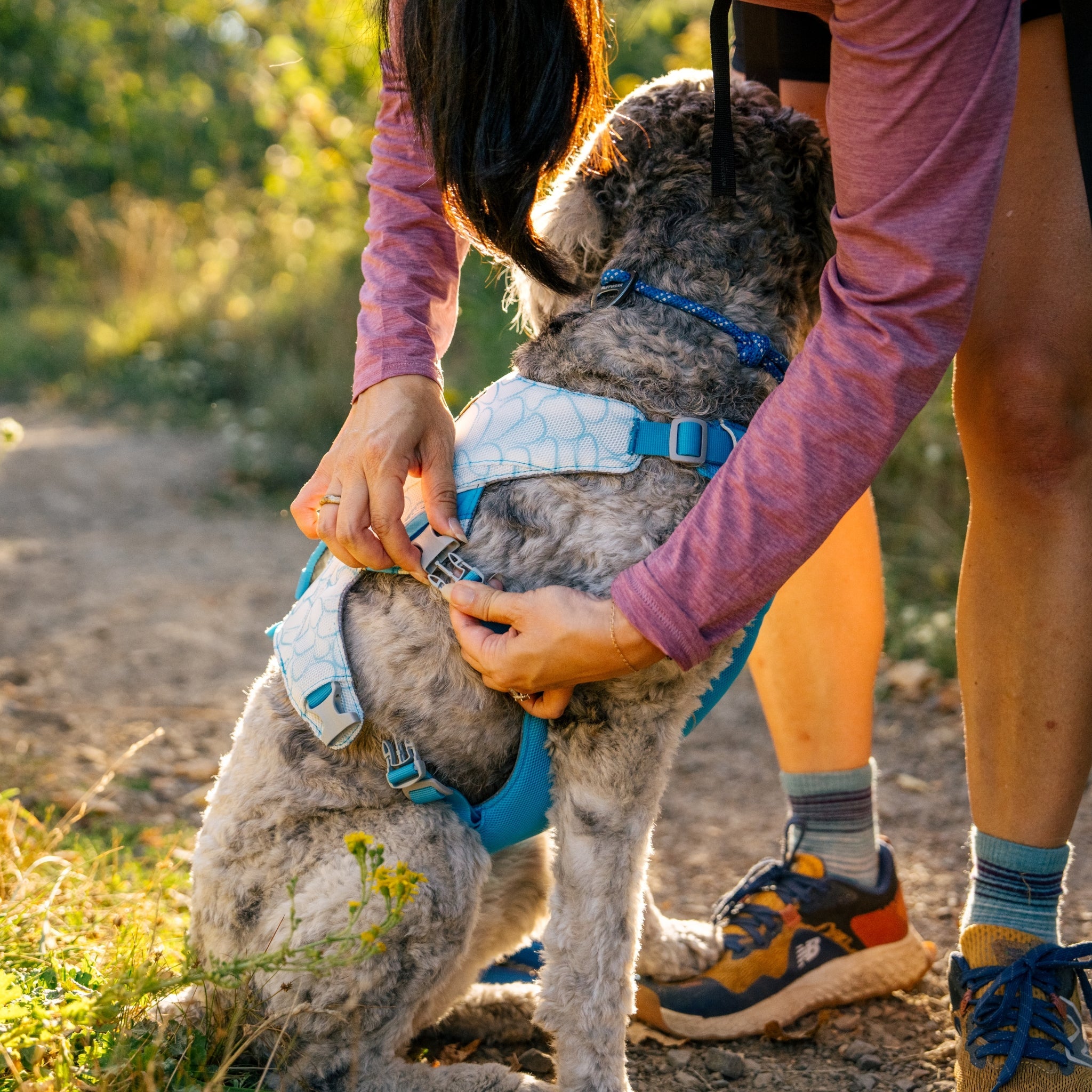 Ruffwear Swamp Cooler Harness – Kühlgeschirr für Hunde bei Hitze mit reflektierenden Elementen - Woofshack