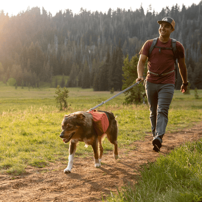 Ruffwear Switchbak Hundeleine - Rutschfester Griff für Kontrolle bei Nässe &amp; Regen - Woofshack